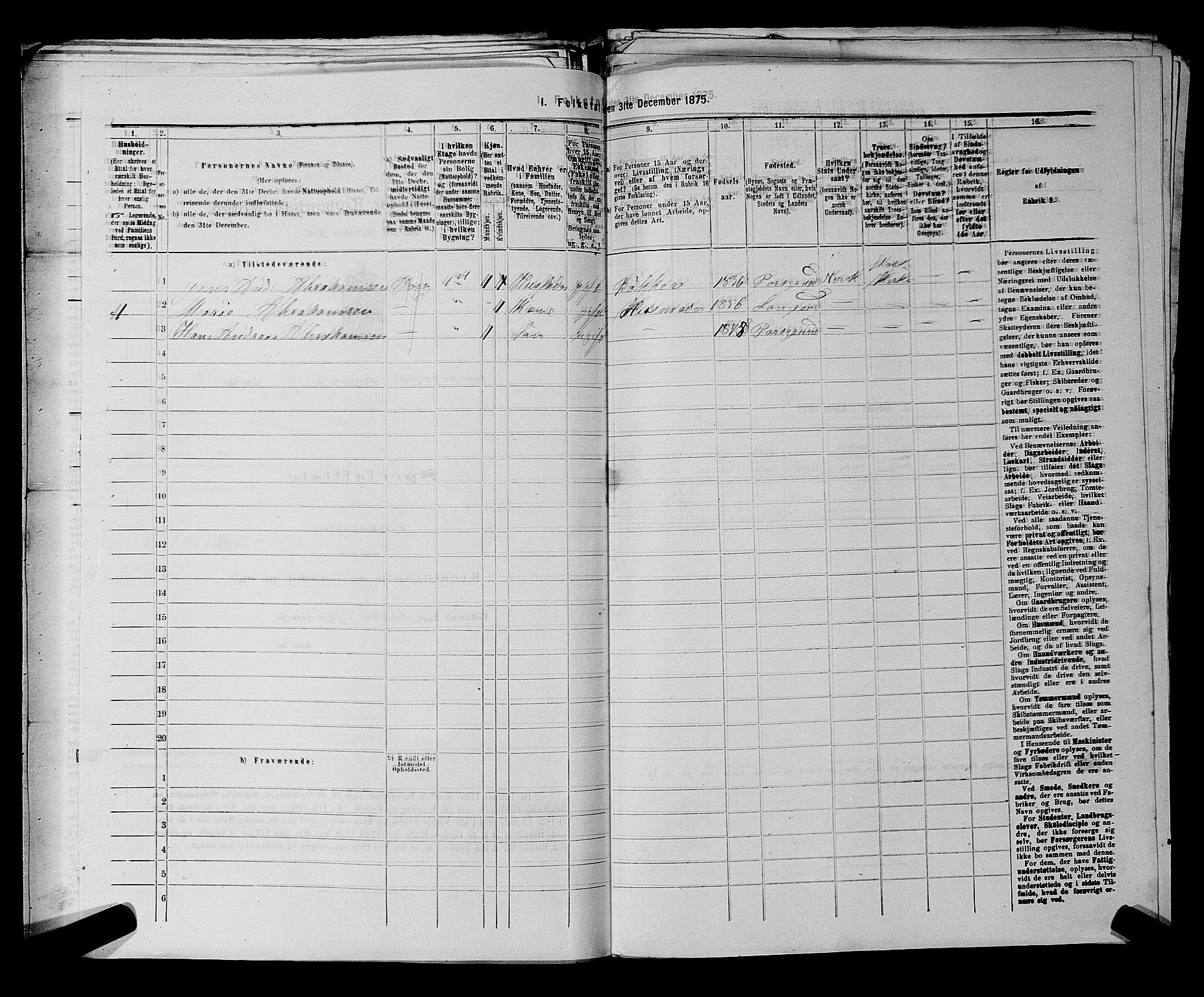 SAKO, 1875 census for 0805P Porsgrunn, 1875, p. 495