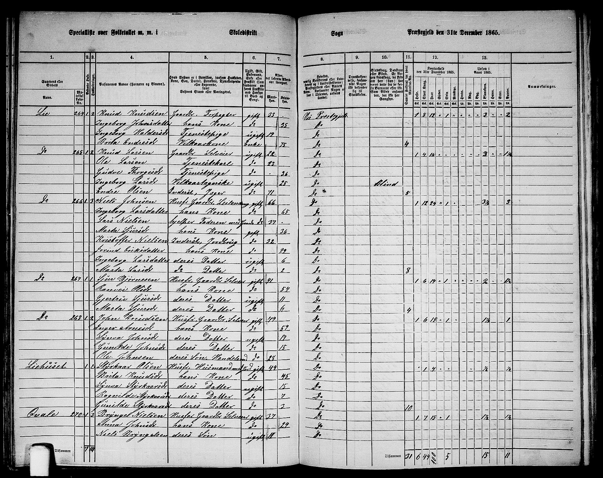 RA, 1865 census for Voss, 1865, p. 138