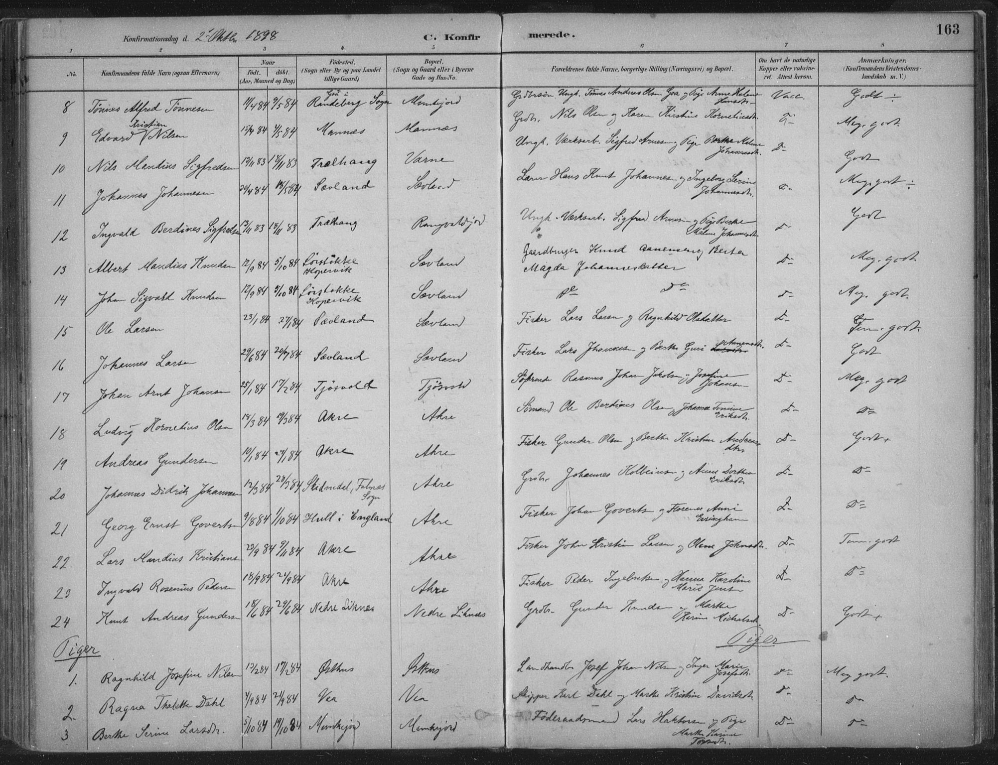 Kopervik sokneprestkontor, SAST/A-101850/H/Ha/Haa/L0004: Parish register (official) no. A 4, 1882-1905, p. 163
