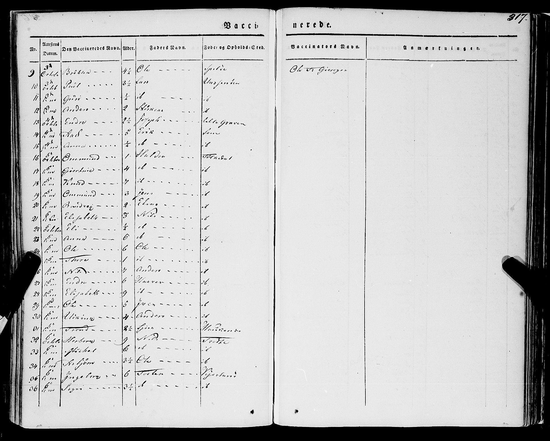 Ulvik sokneprestembete, AV/SAB-A-78801/H/Haa: Parish register (official) no. A 12, 1839-1853, p. 317