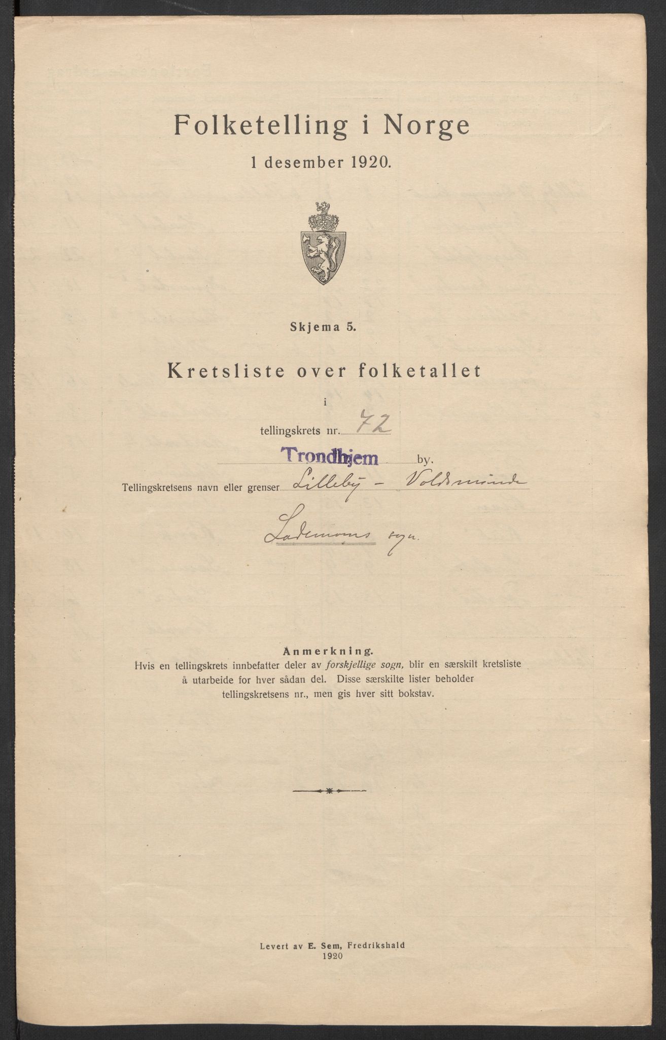 SAT, 1920 census for Trondheim, 1920, p. 233