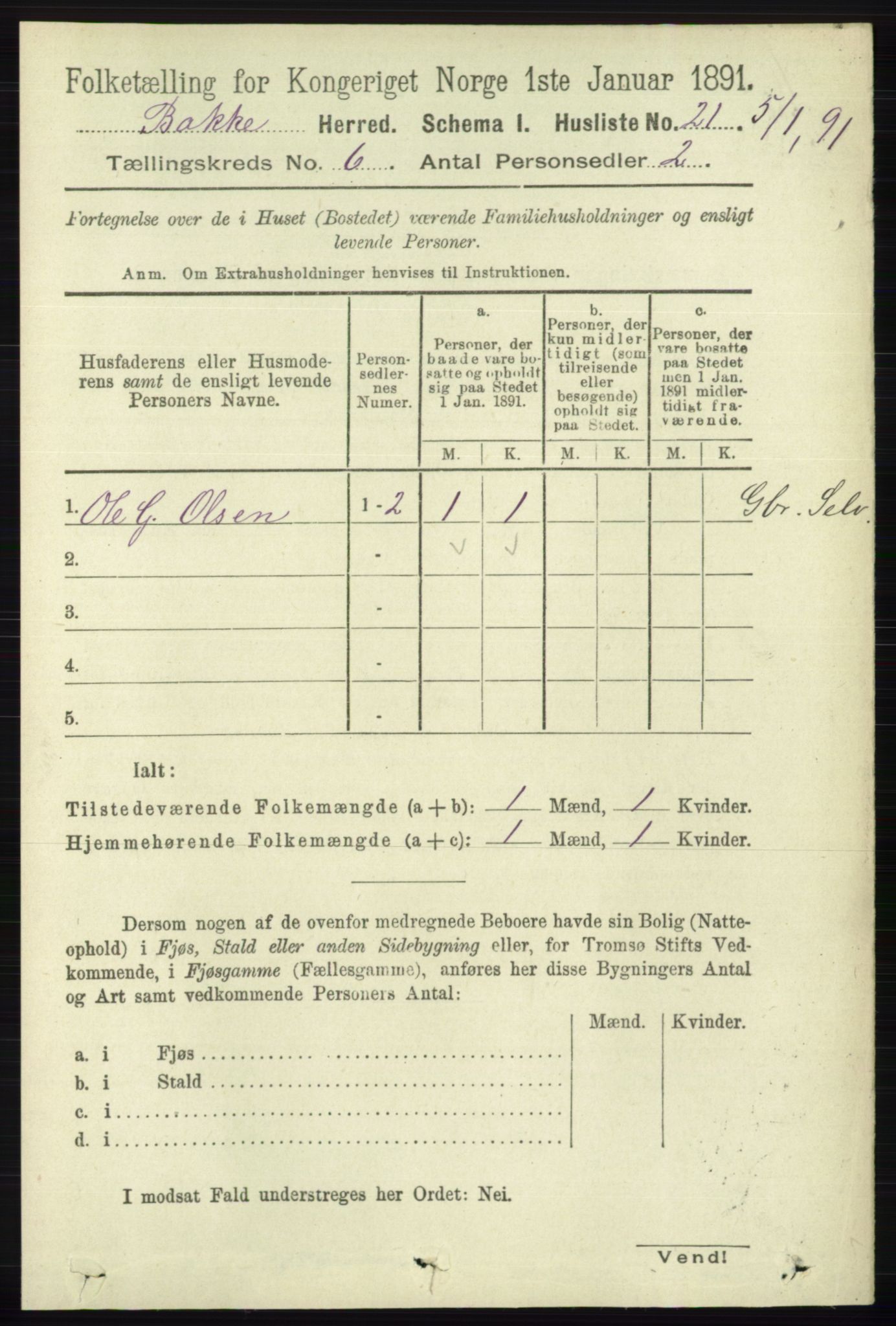 RA, 1891 census for 1045 Bakke, 1891, p. 1169