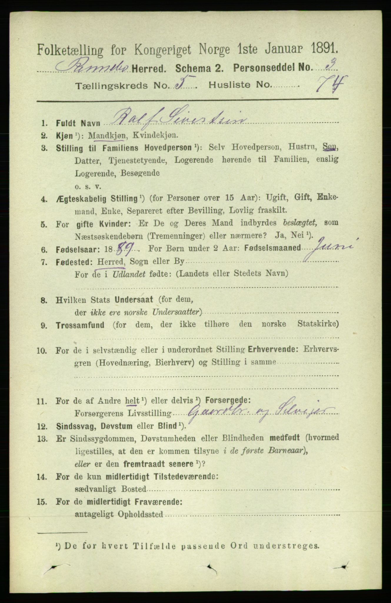 RA, 1891 census for 1635 Rennebu, 1891, p. 3031