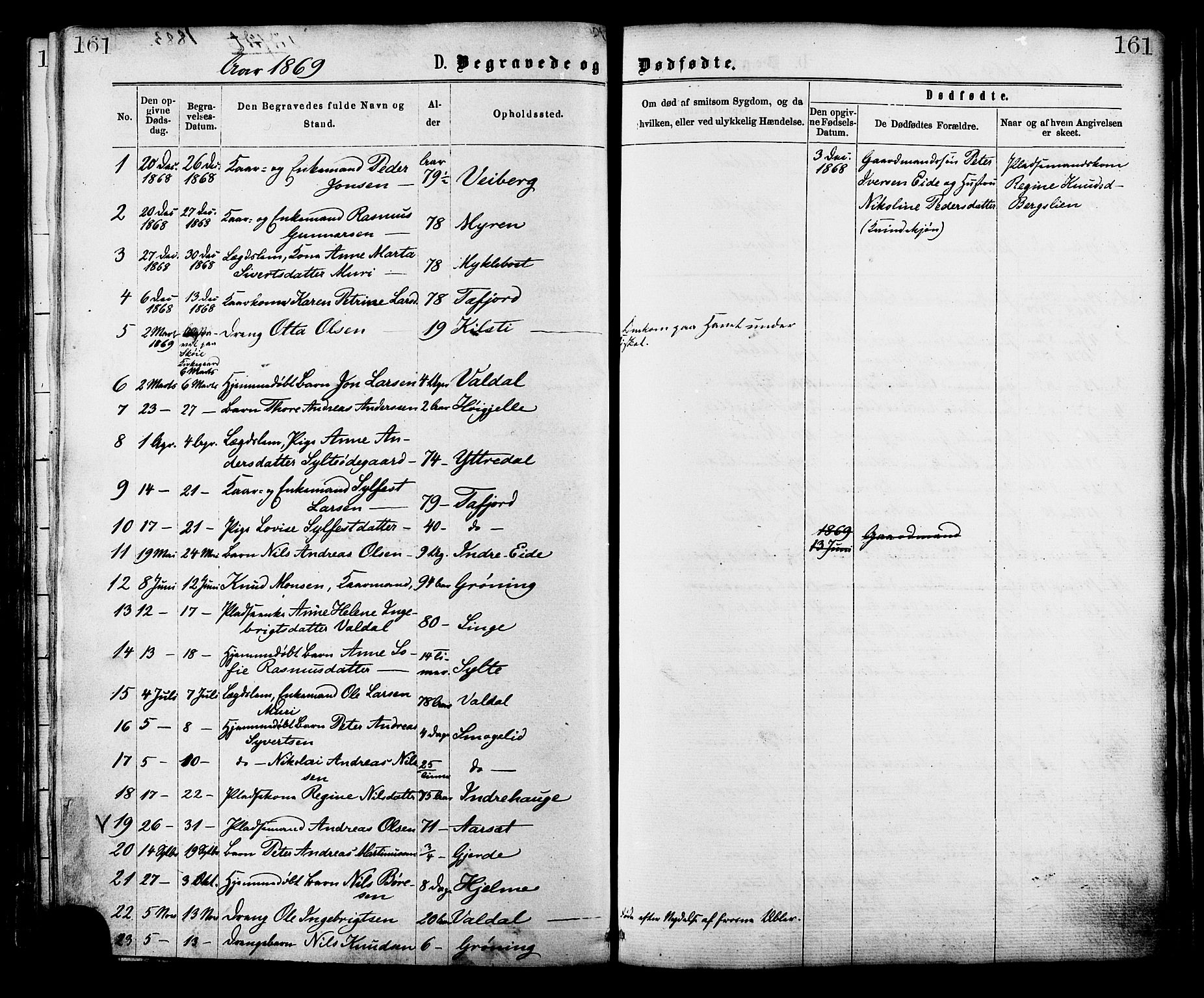 Ministerialprotokoller, klokkerbøker og fødselsregistre - Møre og Romsdal, SAT/A-1454/519/L0254: Parish register (official) no. 519A13, 1868-1883, p. 161
