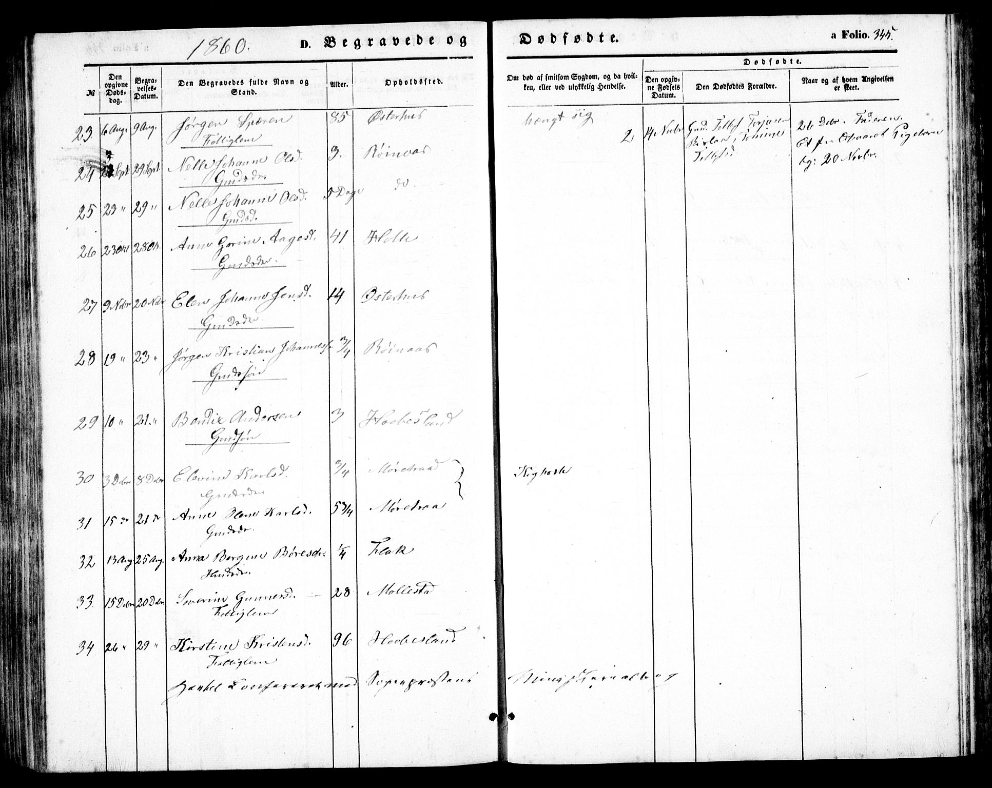 Birkenes sokneprestkontor, AV/SAK-1111-0004/F/Fb/L0002: Parish register (copy) no. B 2, 1849-1876, p. 345