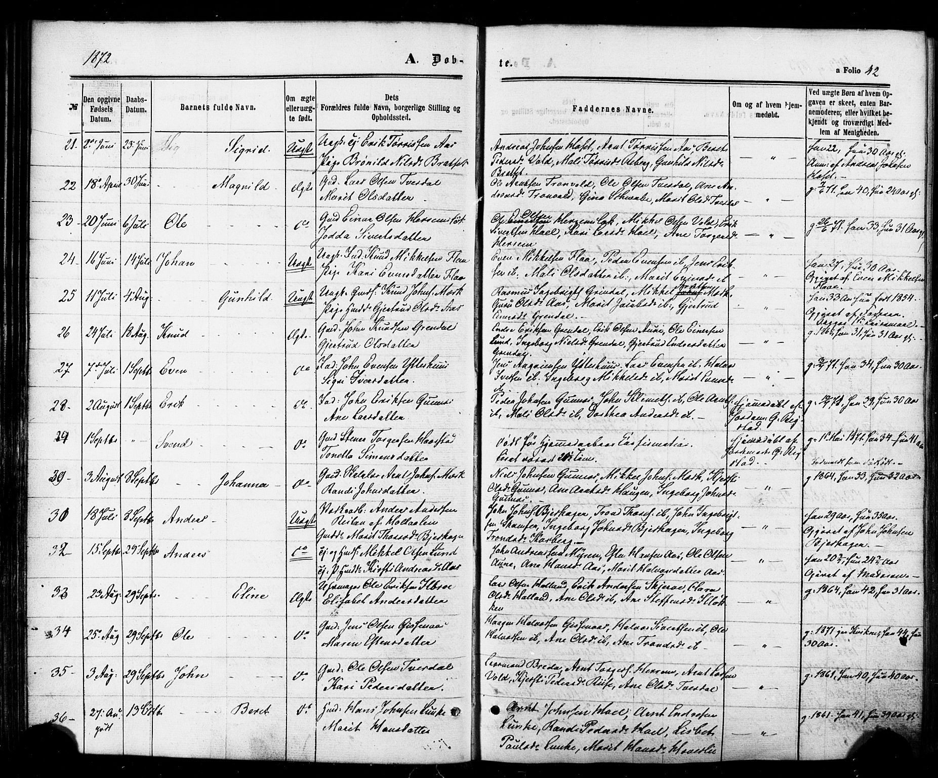 Ministerialprotokoller, klokkerbøker og fødselsregistre - Sør-Trøndelag, SAT/A-1456/674/L0870: Parish register (official) no. 674A02, 1861-1879, p. 42
