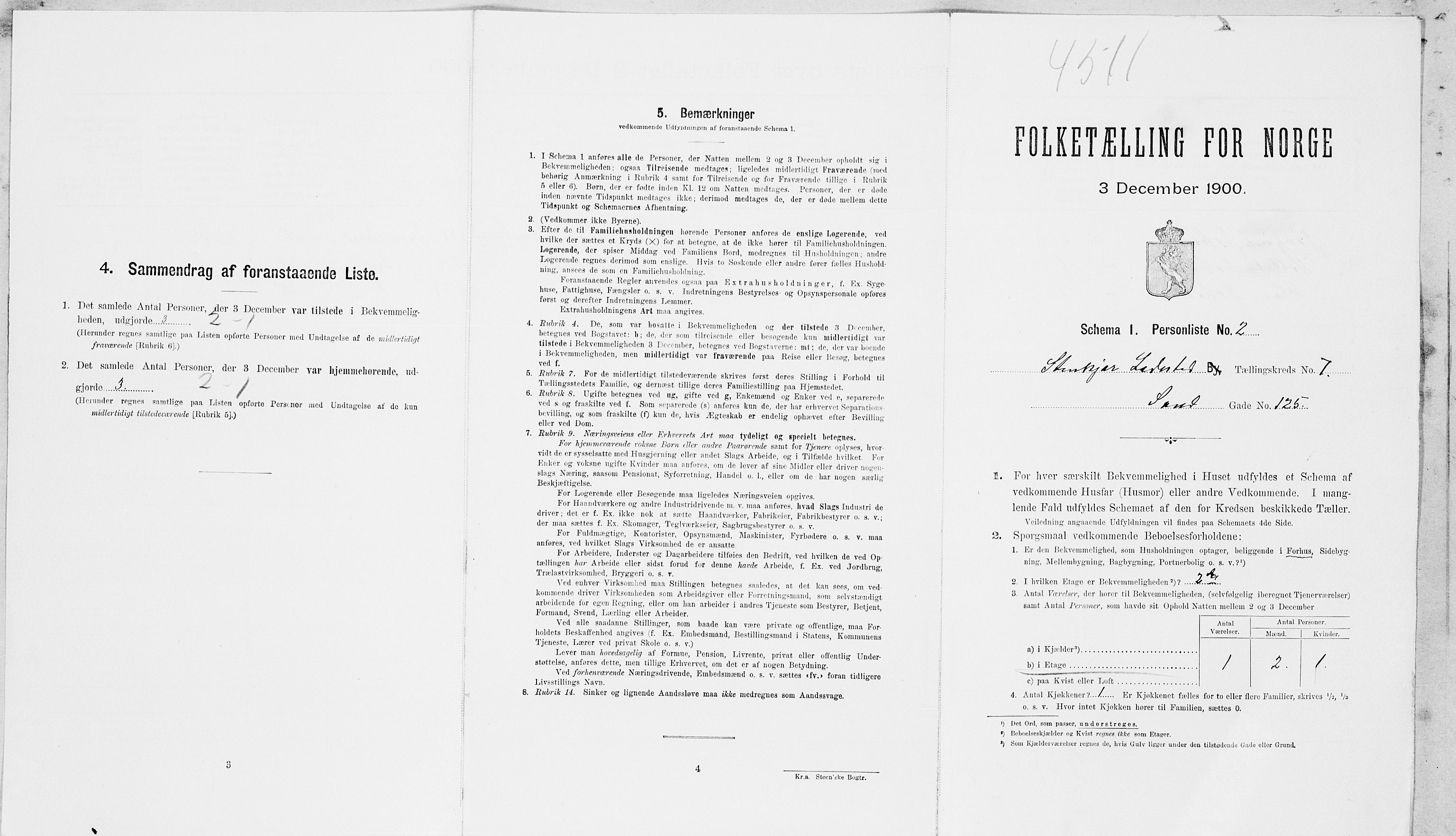 SAT, 1900 census for Steinkjer, 1900, p. 805