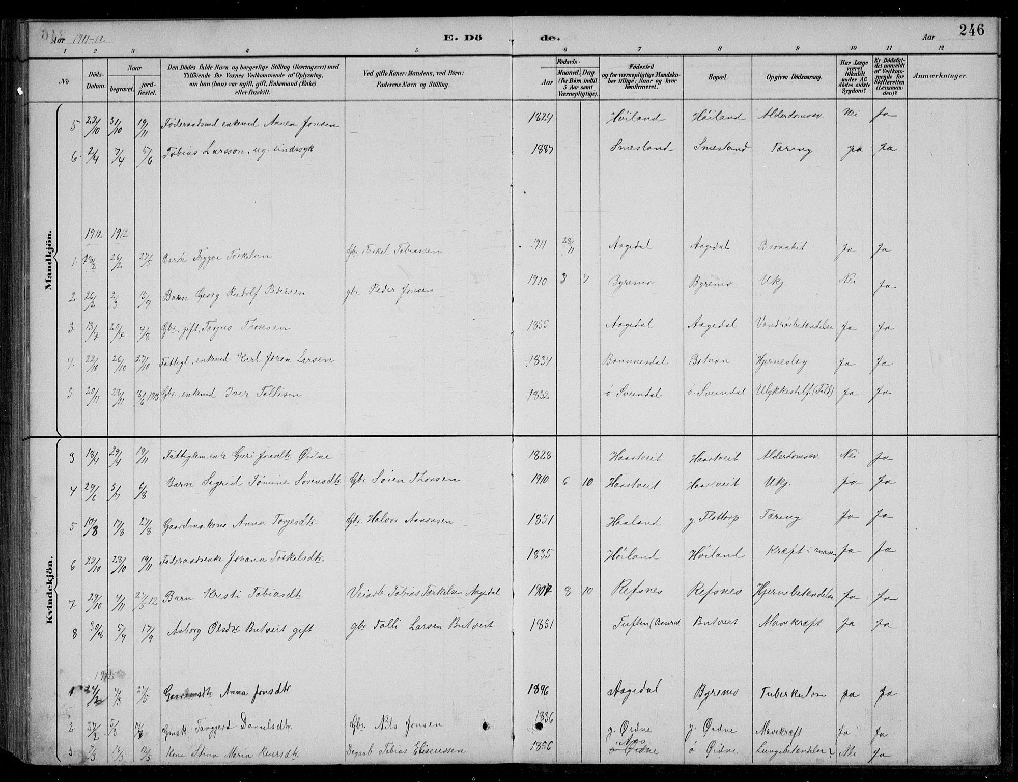 Bjelland sokneprestkontor, SAK/1111-0005/F/Fb/Fbc/L0003: Parish register (copy) no. B 3, 1887-1924, p. 246