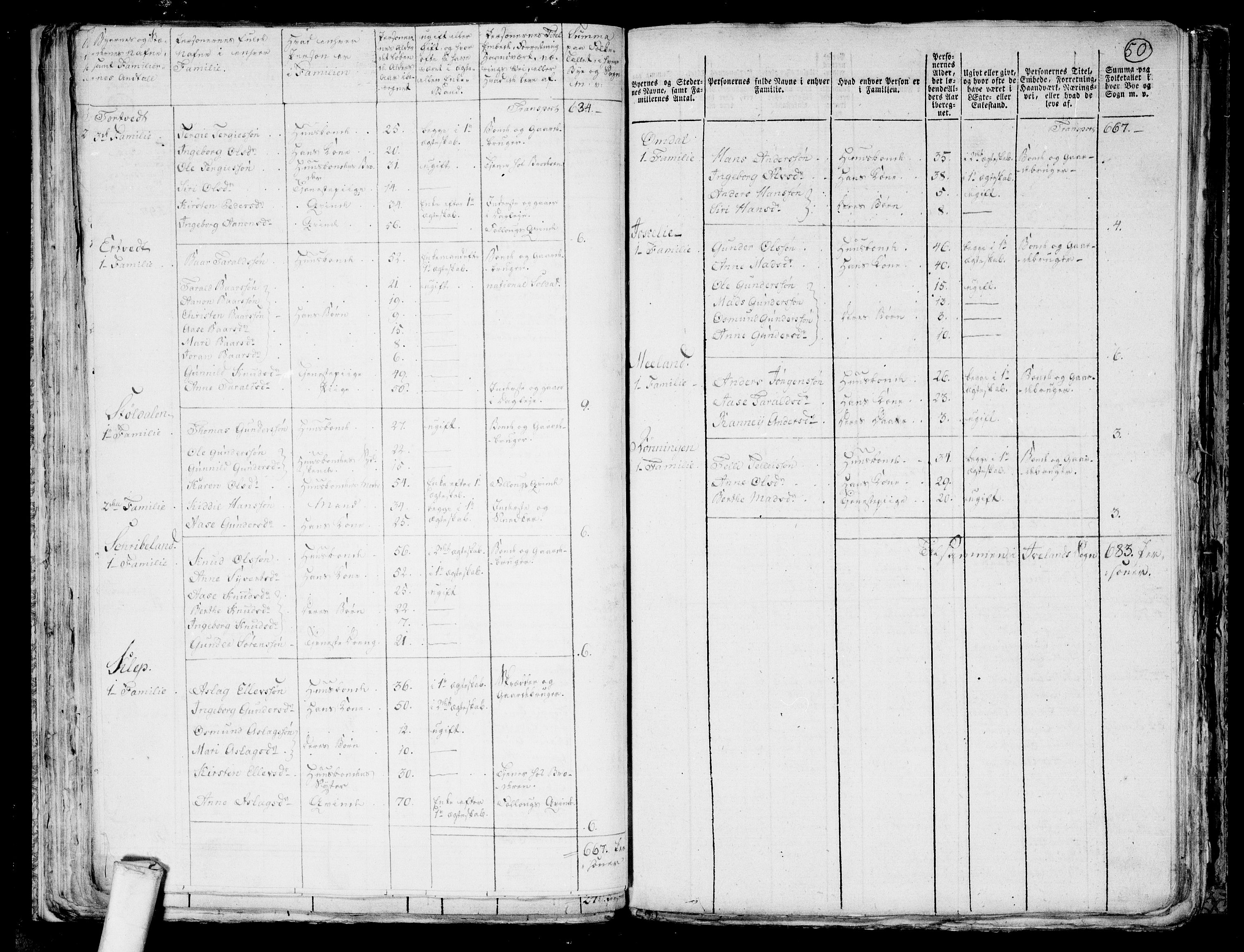 RA, 1801 census for 0934P Evje, 1801, p. 49b-50a