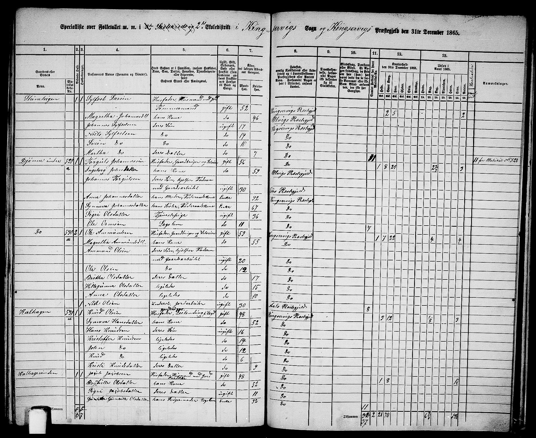 RA, 1865 census for Kinsarvik, 1865, p. 228