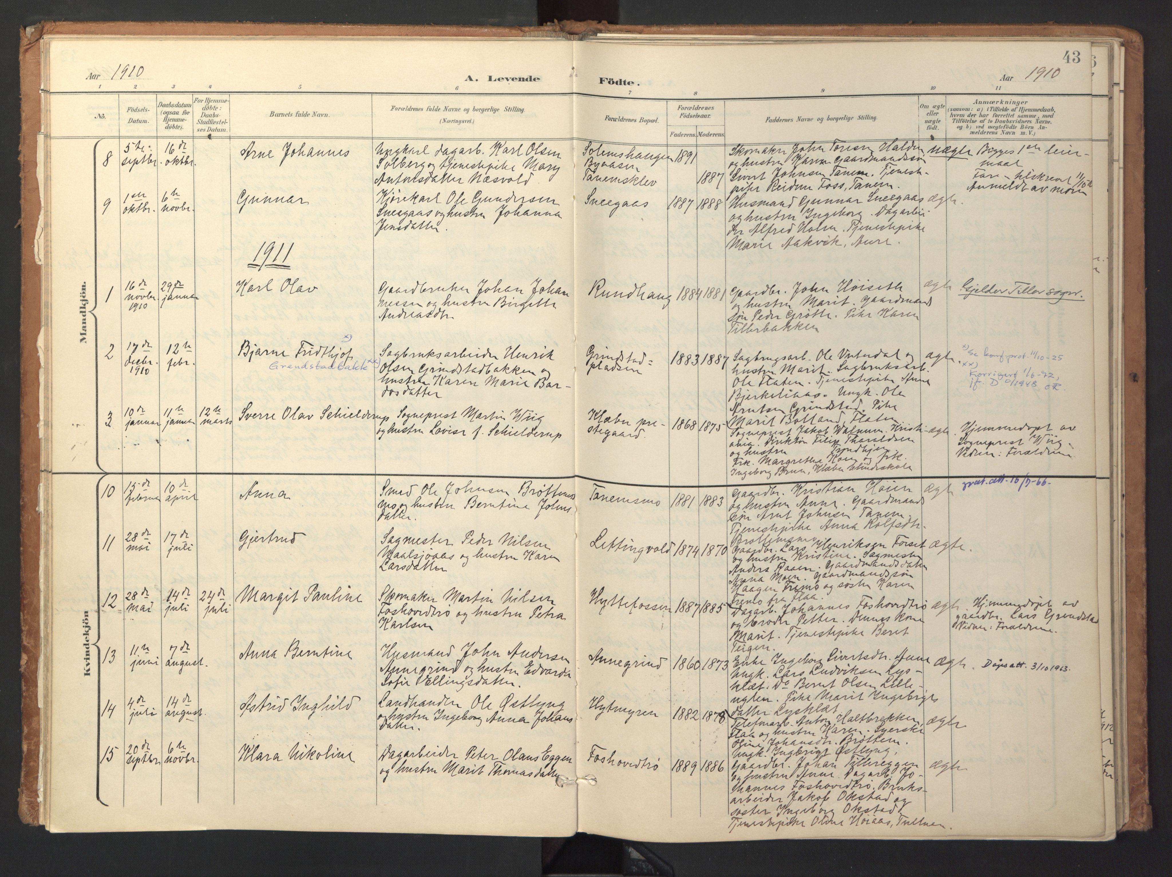 Ministerialprotokoller, klokkerbøker og fødselsregistre - Sør-Trøndelag, SAT/A-1456/618/L0448: Parish register (official) no. 618A11, 1898-1916, p. 43