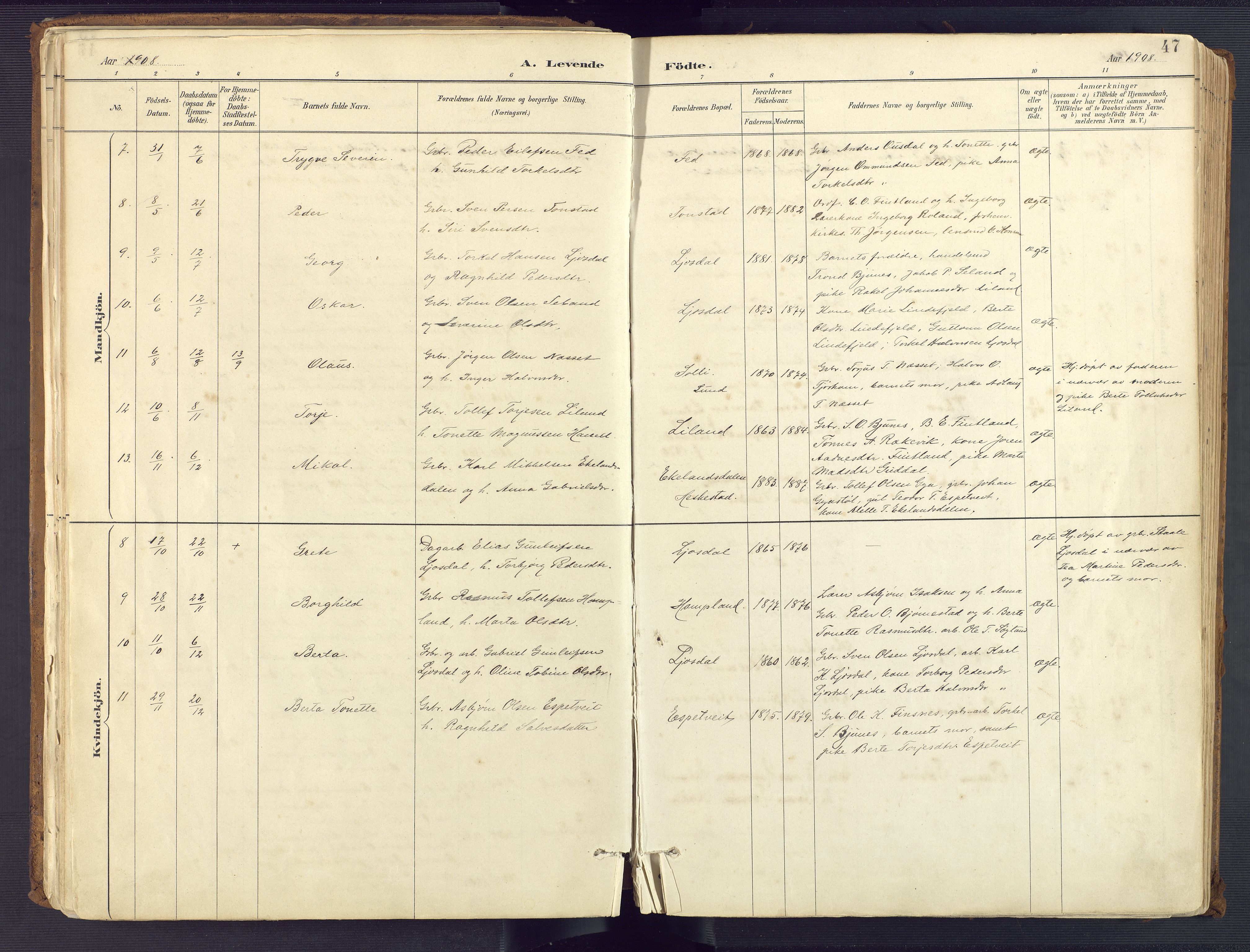 Sirdal sokneprestkontor, AV/SAK-1111-0036/F/Fa/Fab/L0004: Parish register (official) no. A 4, 1887-1919, p. 47