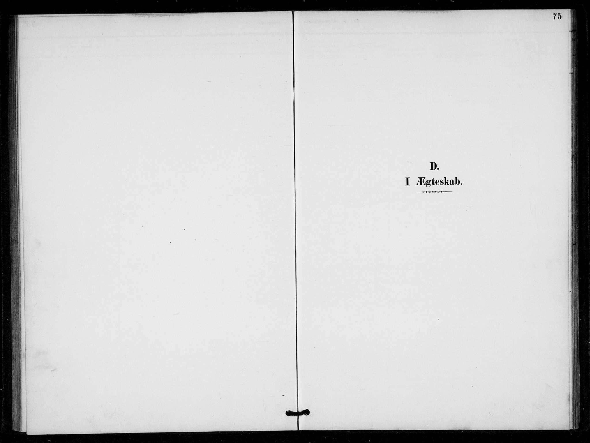 Bygland sokneprestkontor, SAK/1111-0006/F/Fa/Fad/L0001: Parish register (official) no. A 1, 1885-1906, p. 75