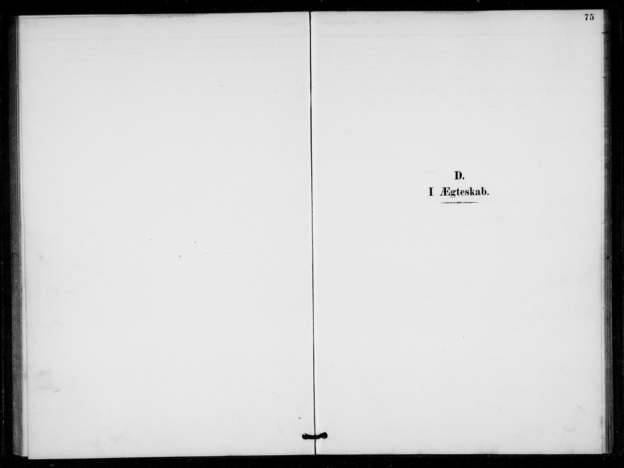 Bygland sokneprestkontor, AV/SAK-1111-0006/F/Fa/Fad/L0001: Parish register (official) no. A 1, 1885-1906, p. 75
