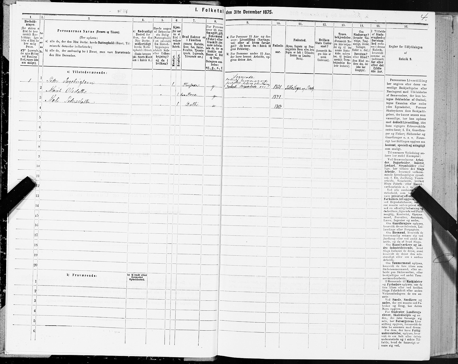 SAT, 1875 census for 1664P Selbu, 1875, p. 6004