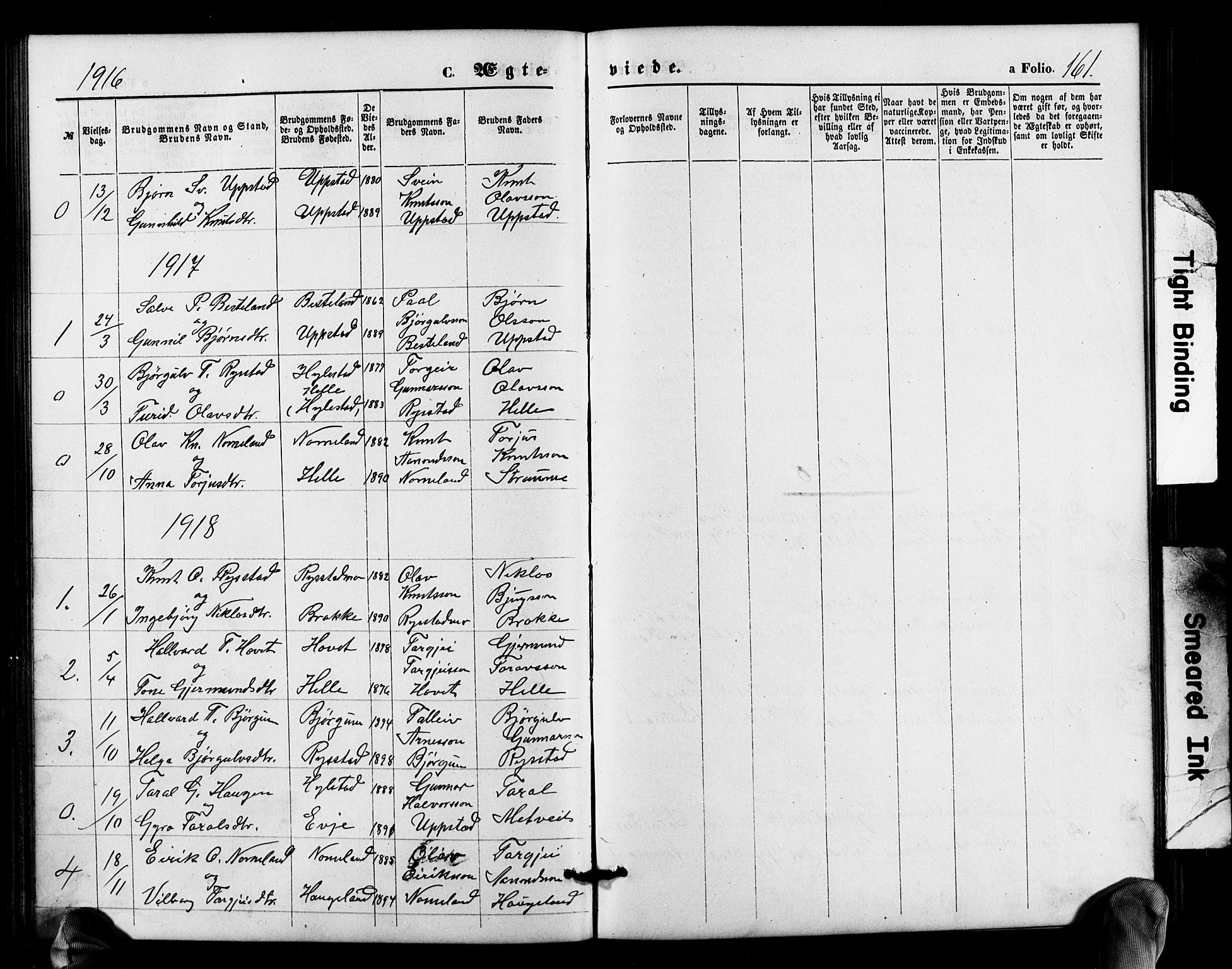 Valle sokneprestkontor, SAK/1111-0044/F/Fb/Fbb/L0002: Parish register (copy) no. B 2, 1875-1921, p. 161