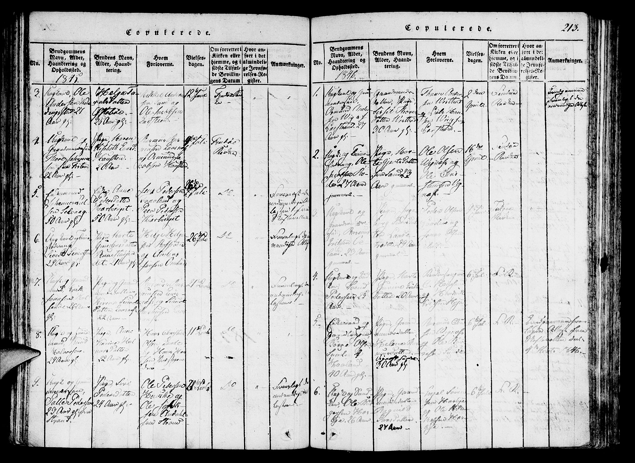 Finnøy sokneprestkontor, SAST/A-101825/H/Ha/Haa/L0006: Parish register (official) no. A 6, 1816-1846, p. 213