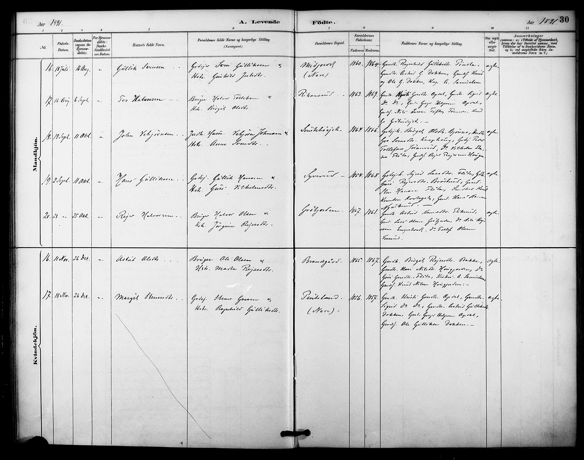 Nore kirkebøker, AV/SAKO-A-238/F/Fc/L0004: Parish register (official) no. III 4, 1885-1898, p. 30