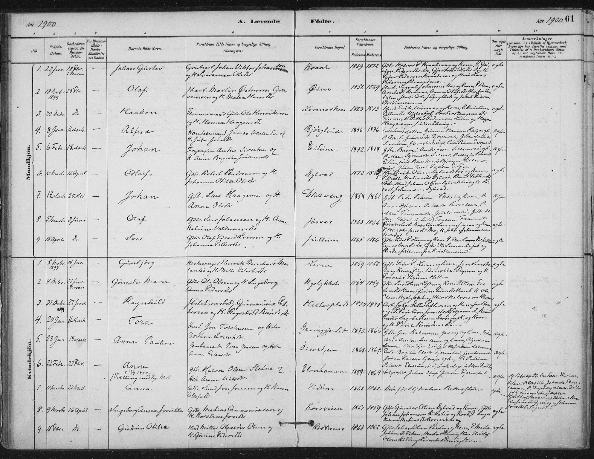 Ministerialprotokoller, klokkerbøker og fødselsregistre - Nord-Trøndelag, SAT/A-1458/710/L0095: Parish register (official) no. 710A01, 1880-1914, p. 61