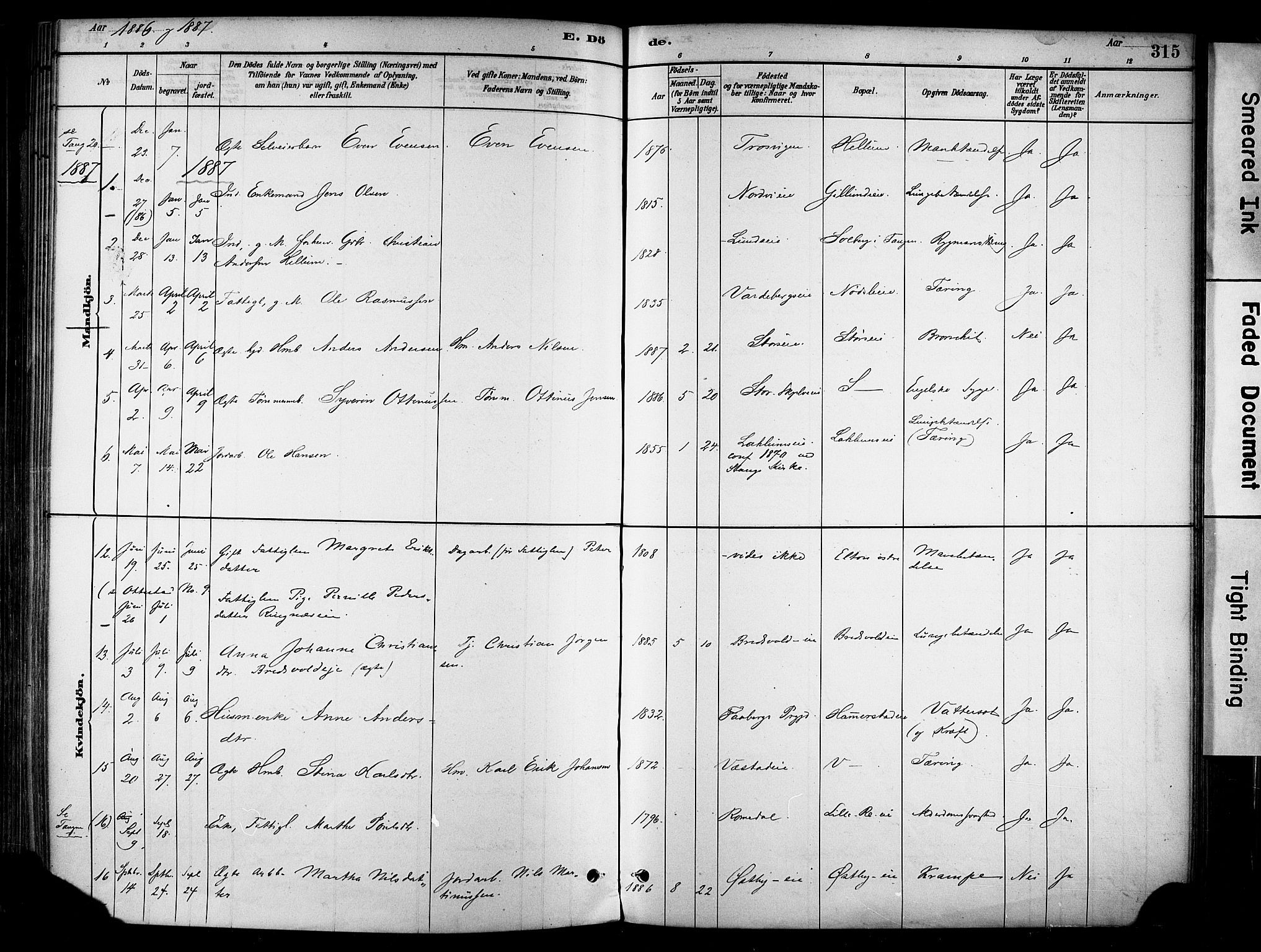 Stange prestekontor, SAH/PREST-002/K/L0017: Parish register (official) no. 17, 1880-1893, p. 315