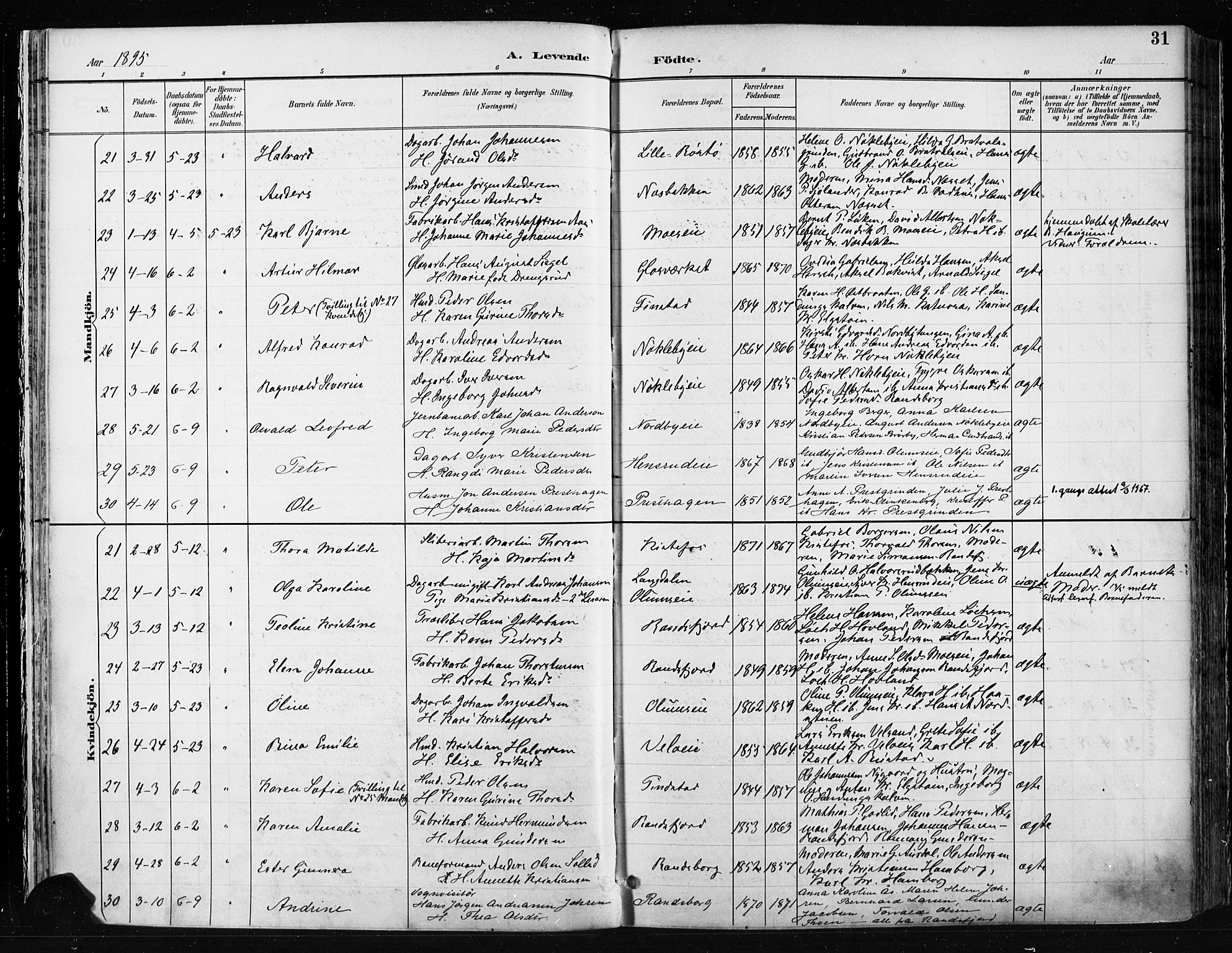 Jevnaker prestekontor, AV/SAH-PREST-116/H/Ha/Haa/L0009: Parish register (official) no. 9, 1891-1901, p. 31