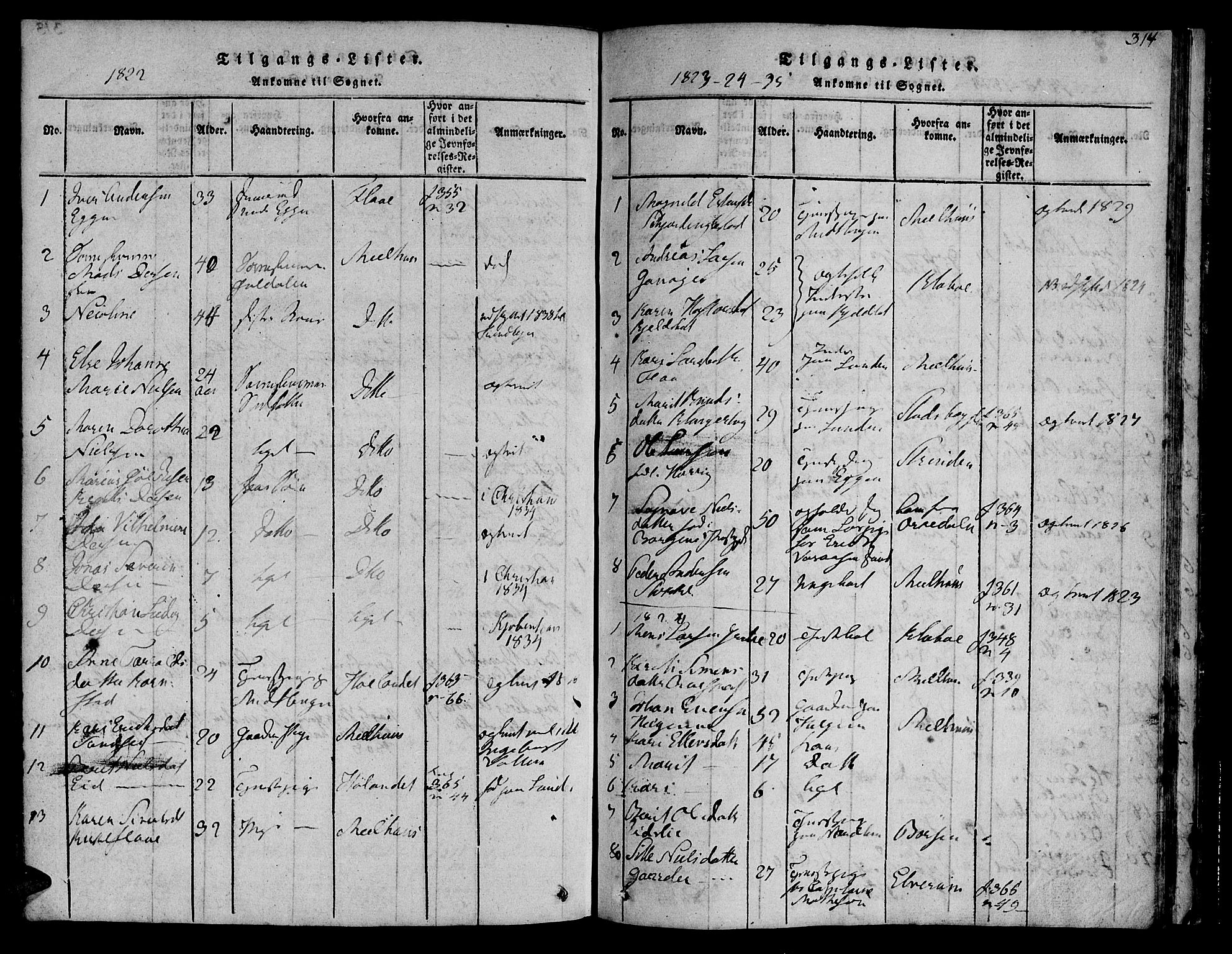 Ministerialprotokoller, klokkerbøker og fødselsregistre - Sør-Trøndelag, SAT/A-1456/692/L1102: Parish register (official) no. 692A02, 1816-1842, p. 314