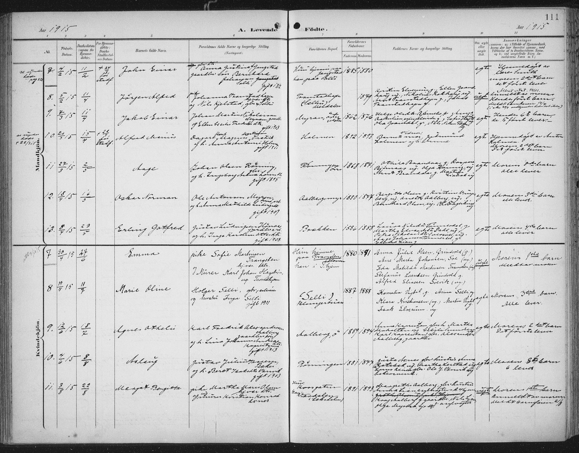 Ministerialprotokoller, klokkerbøker og fødselsregistre - Nord-Trøndelag, AV/SAT-A-1458/701/L0011: Parish register (official) no. 701A11, 1899-1915, p. 111