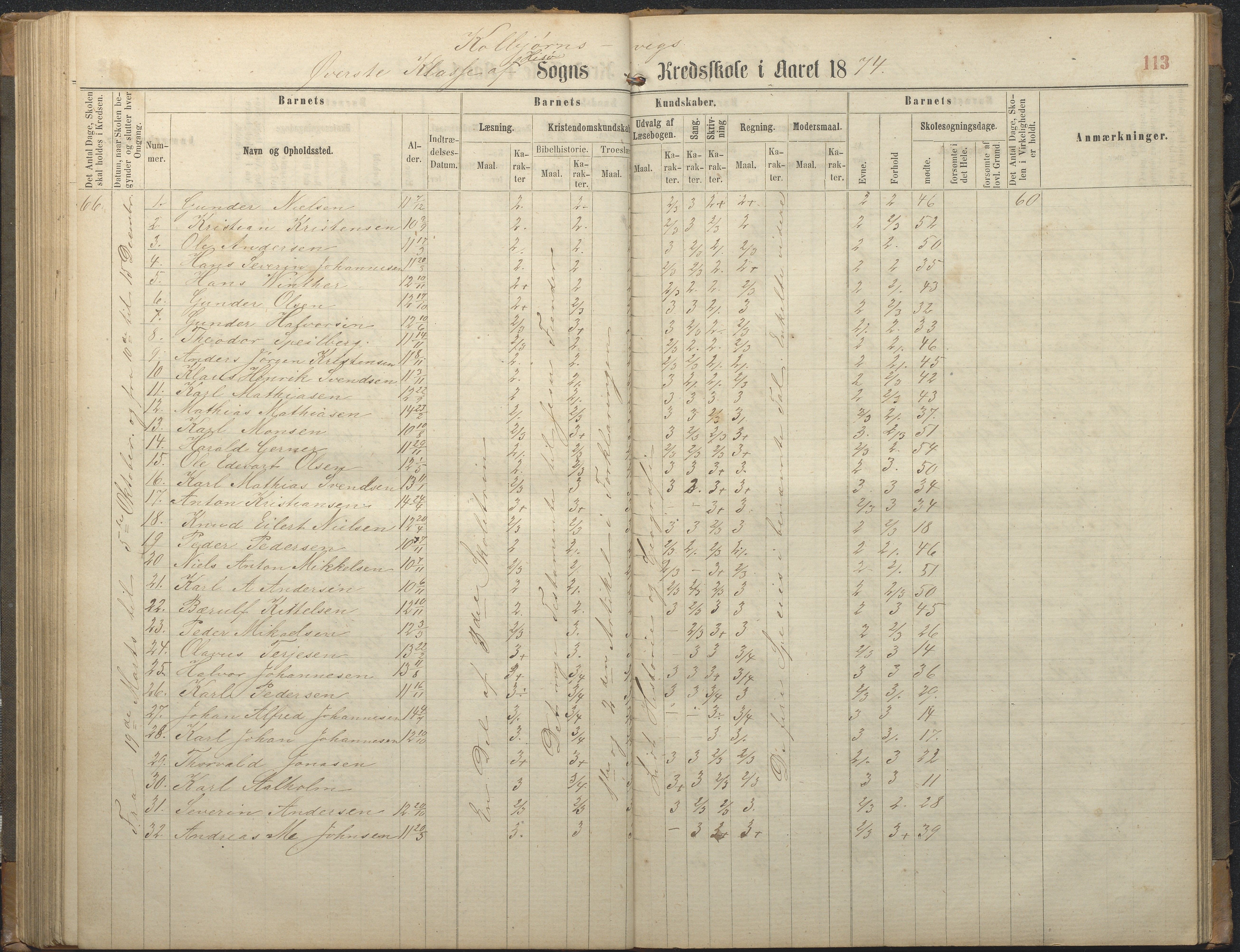 Hisøy kommune frem til 1991, AAKS/KA0922-PK/32/L0006: Skoleprotokoll, 1863-1887, p. 113