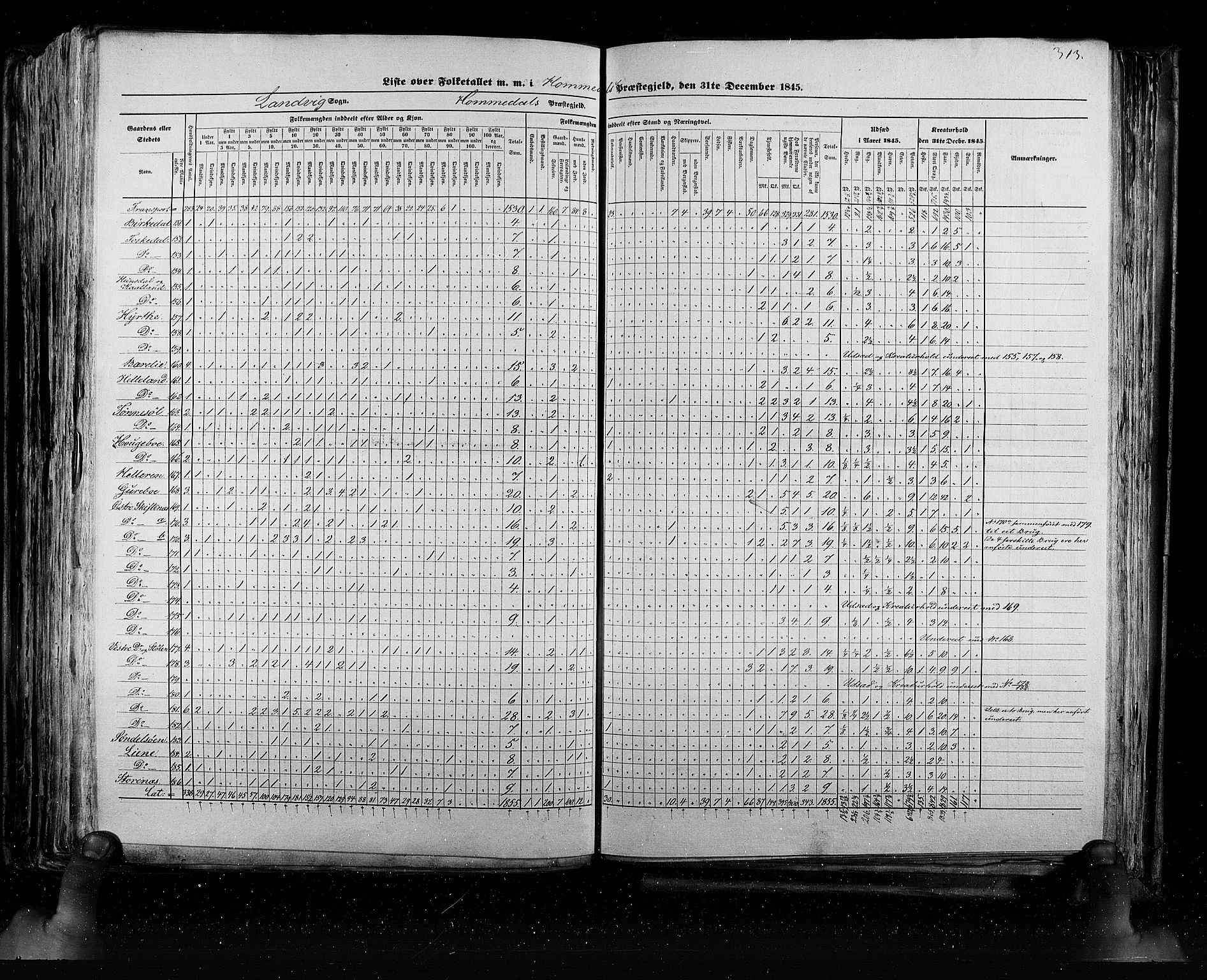 RA, Census 1845, vol. 5: Bratsberg amt og Nedenes og Råbyggelaget amt, 1845, p. 313