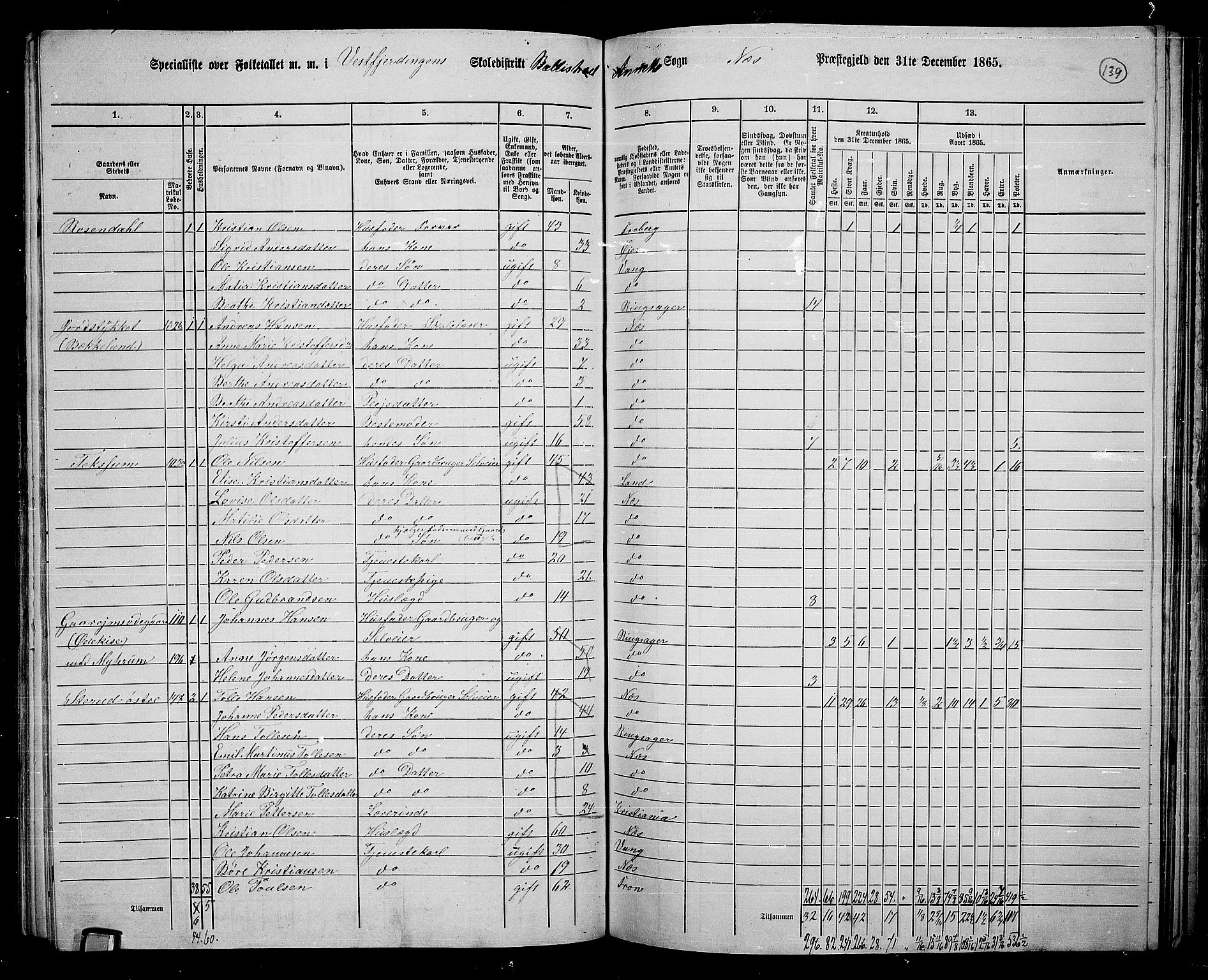 RA, 1865 census for Nes, 1865, p. 119