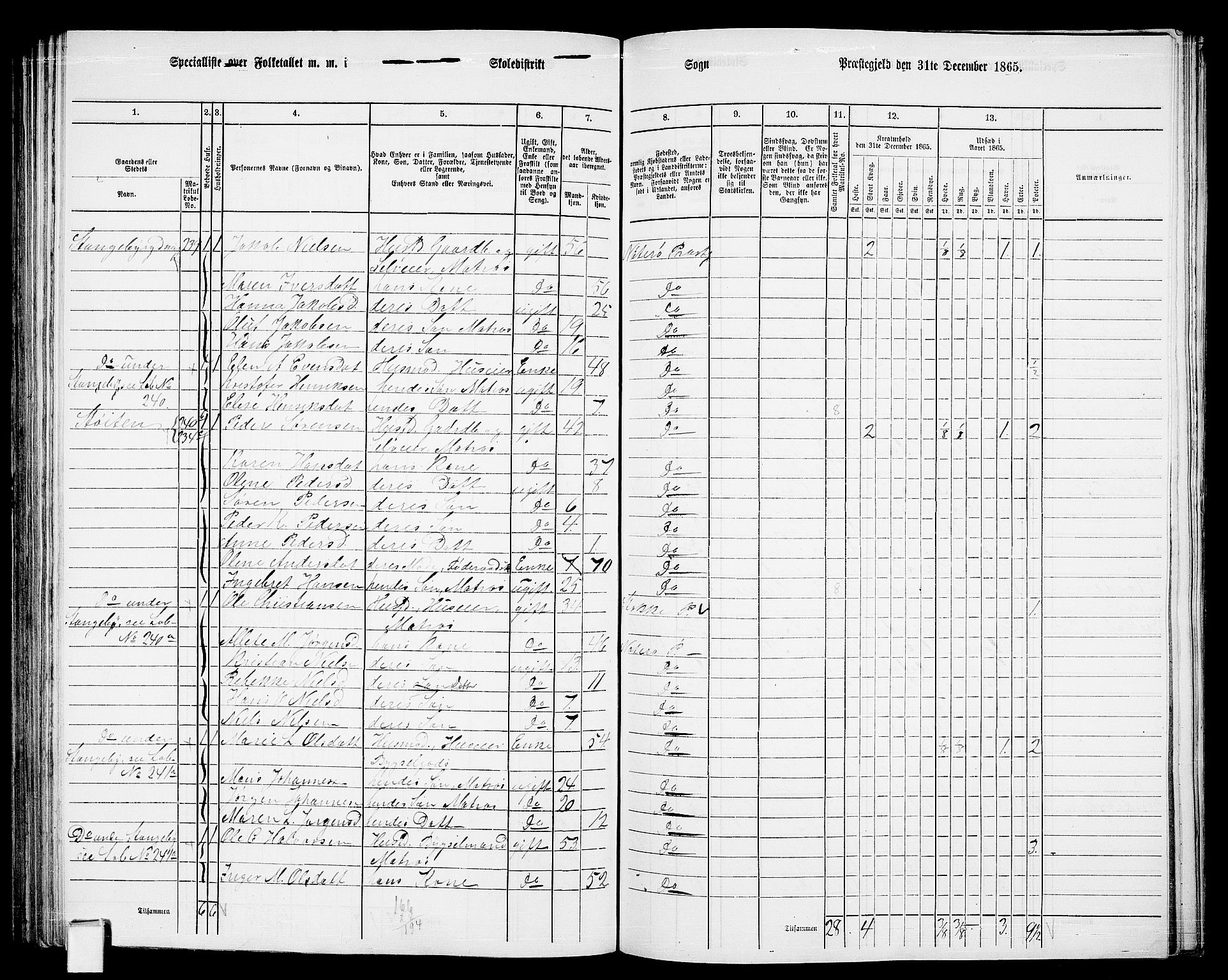 RA, 1865 census for Nøtterøy, 1865, p. 174