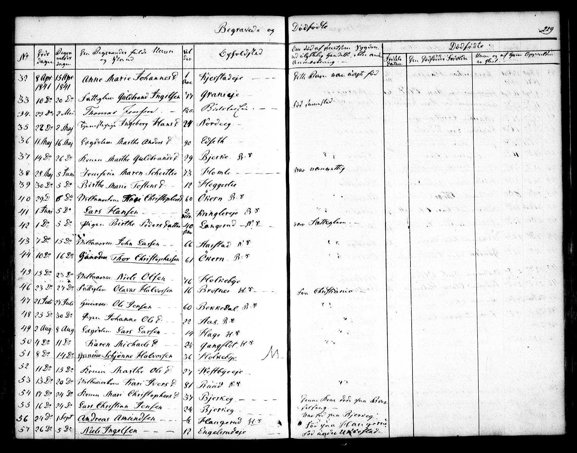 Nannestad prestekontor Kirkebøker, SAO/A-10414a/F/Fa/L0010: Parish register (official) no. I 10, 1840-1850, p. 229