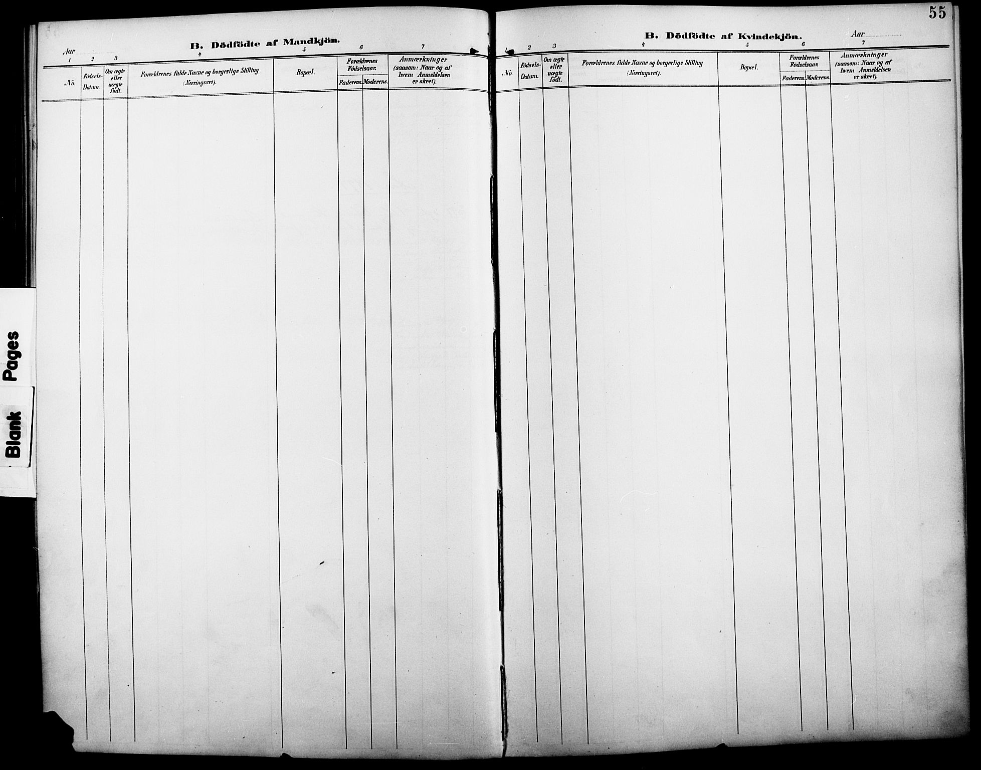 Åmot prestekontor, Hedmark, AV/SAH-PREST-056/H/Ha/Haa/L0011: Parish register (official) no. 11, 1890-1897, p. 55