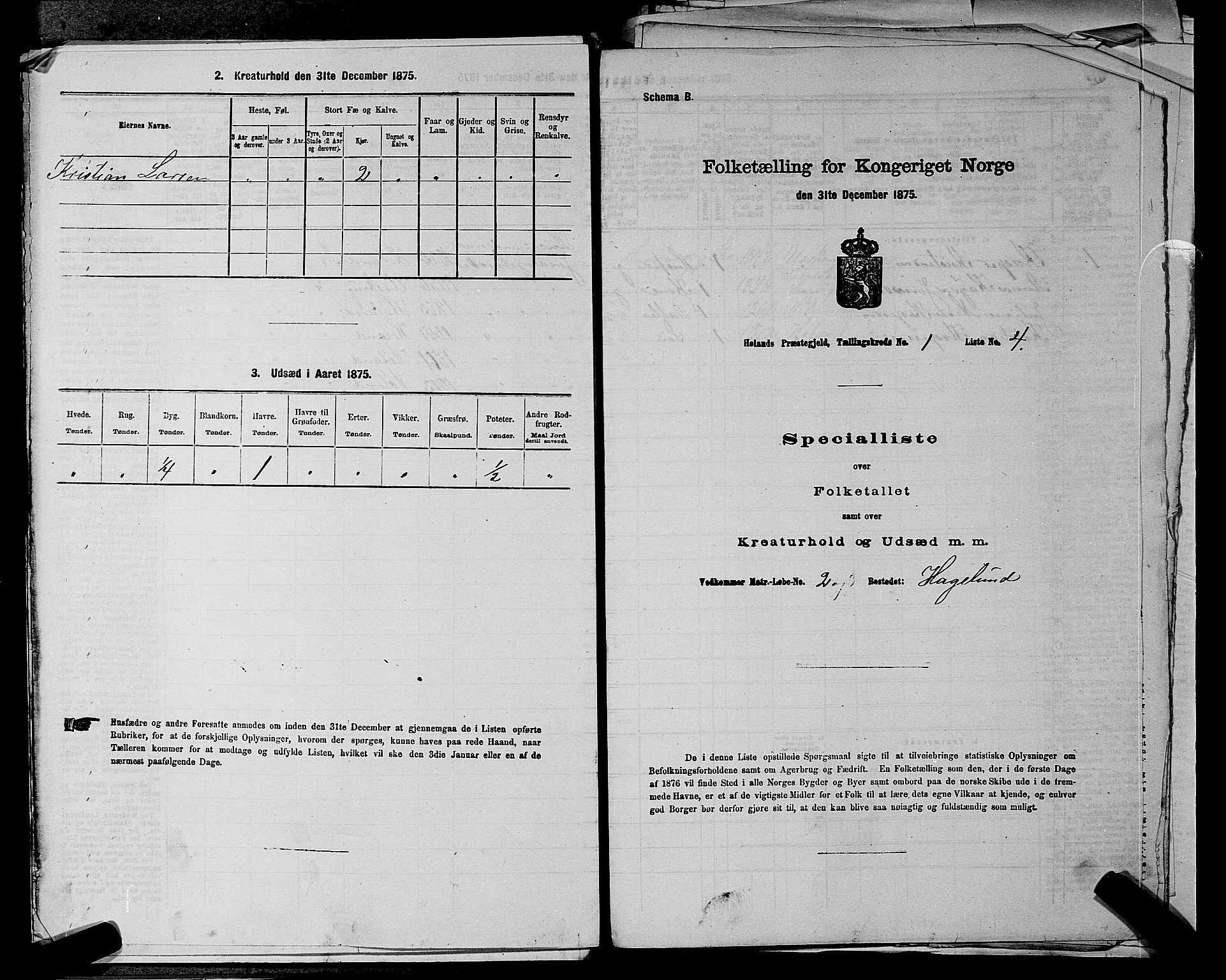 RA, 1875 census for 0221P Høland, 1875, p. 273