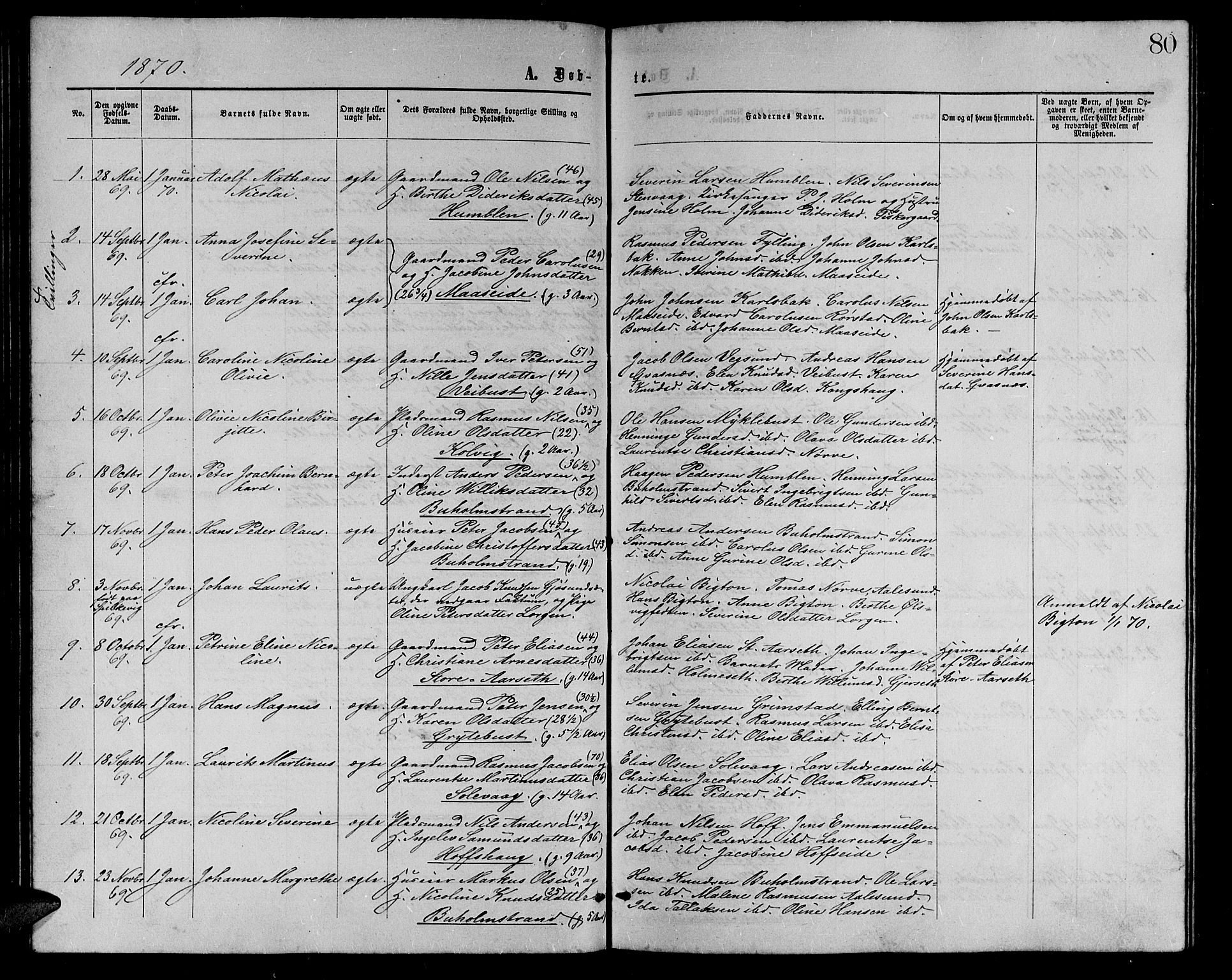 Ministerialprotokoller, klokkerbøker og fødselsregistre - Møre og Romsdal, AV/SAT-A-1454/528/L0428: Parish register (copy) no. 528C09, 1864-1880, p. 80