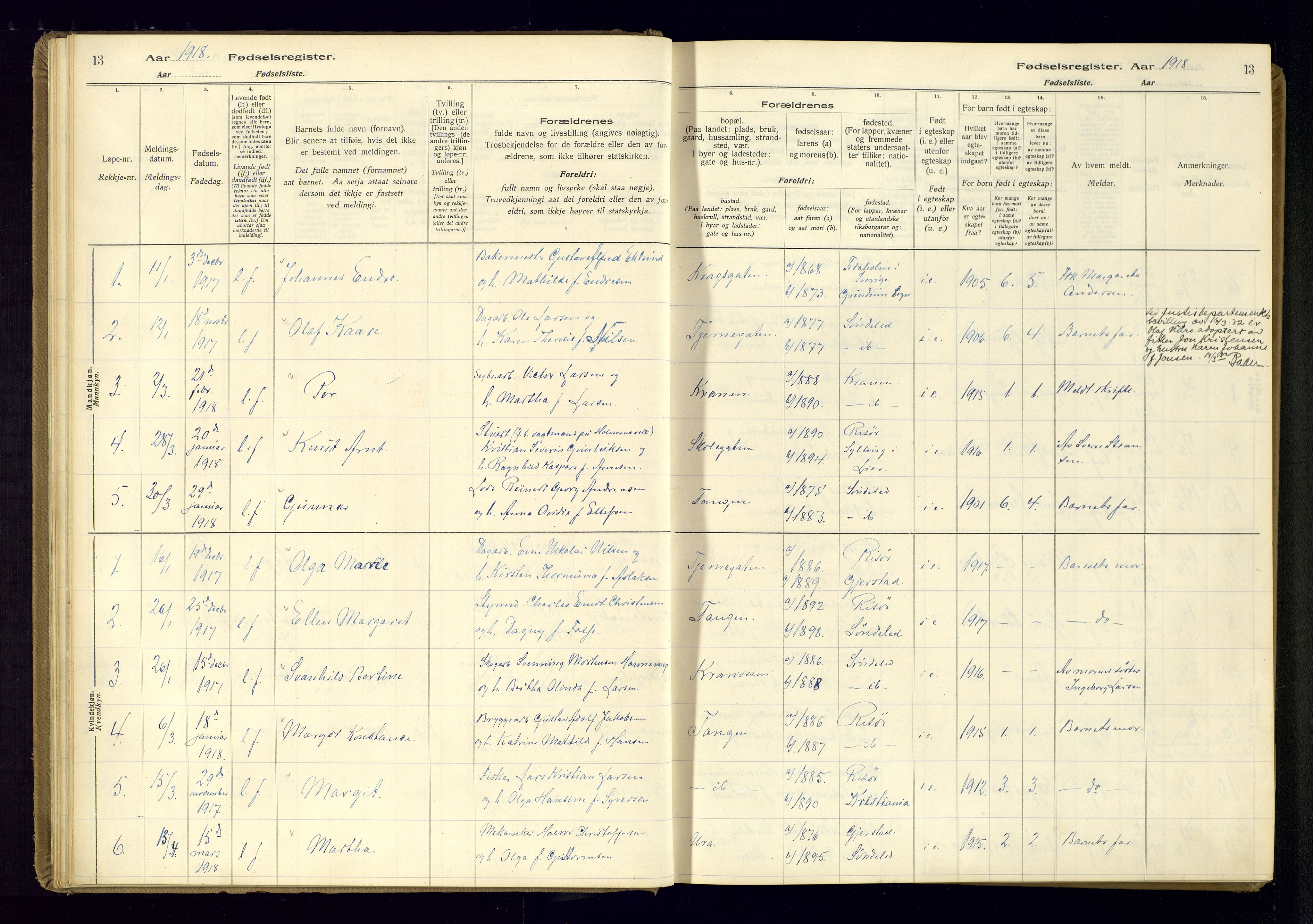 Risør sokneprestkontor, SAK/1111-0035/J/Ja/L0001: Birth register no. A-VI-13, 1916-1947, p. 13