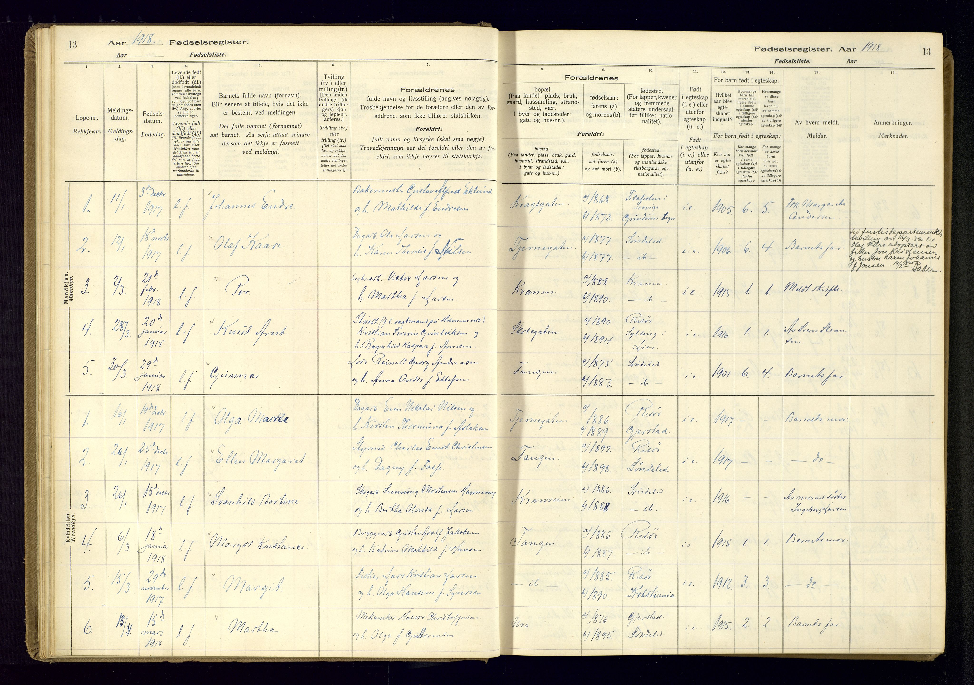 Risør sokneprestkontor, AV/SAK-1111-0035/J/Ja/L0001: Birth register no. A-VI-13, 1916-1947, p. 13