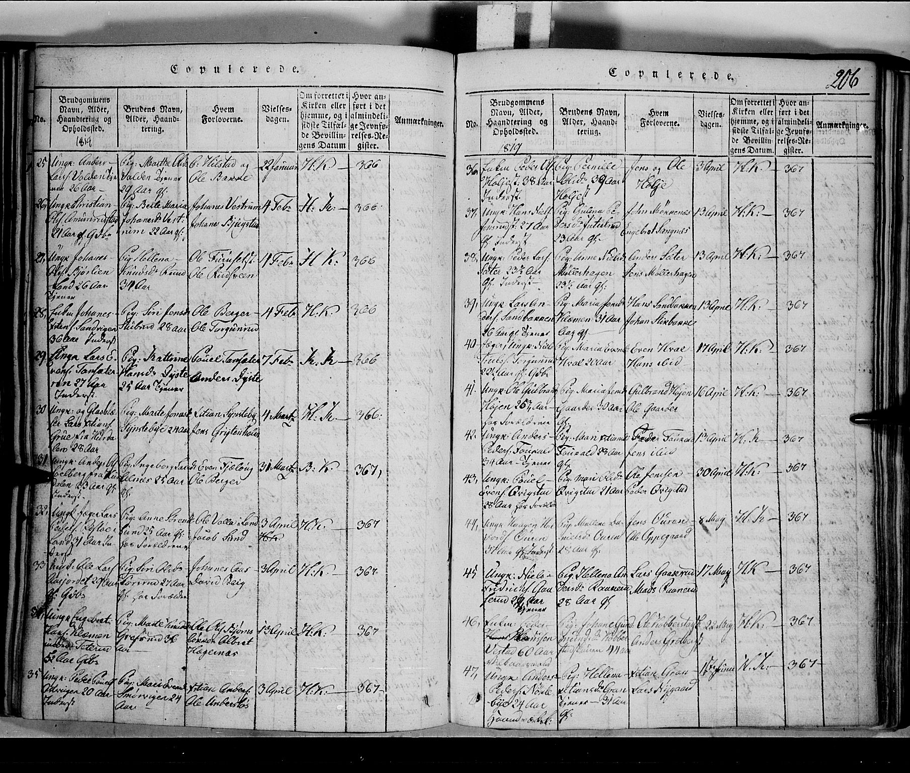 Toten prestekontor, SAH/PREST-102/H/Ha/Hab/L0001: Parish register (copy) no. 1, 1814-1820, p. 206