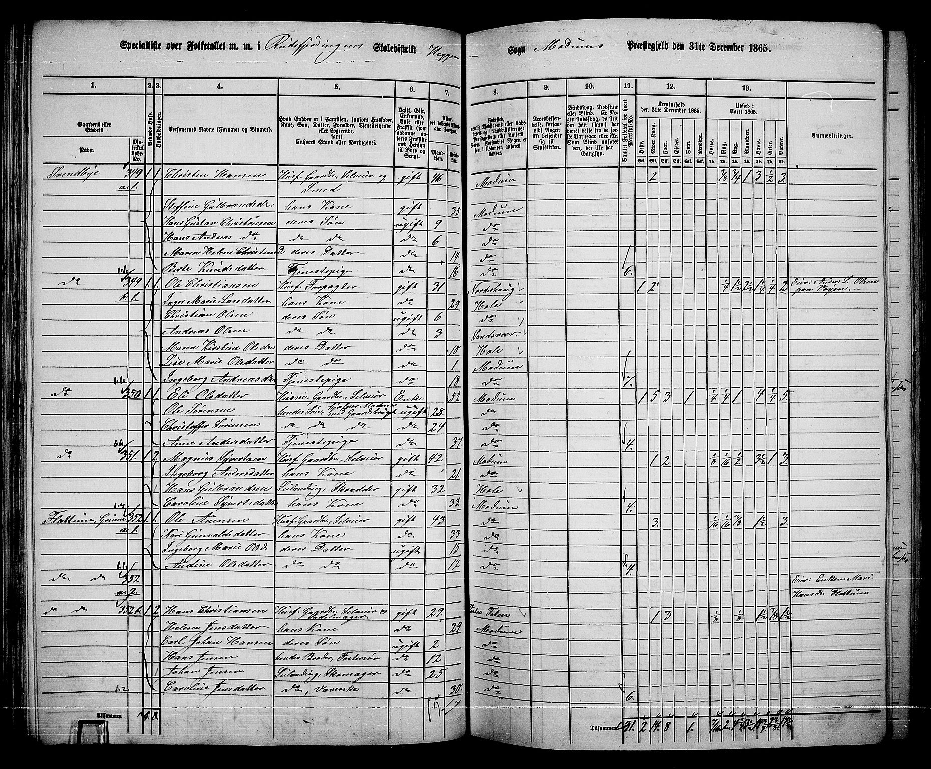 RA, 1865 census for Modum, 1865, p. 127