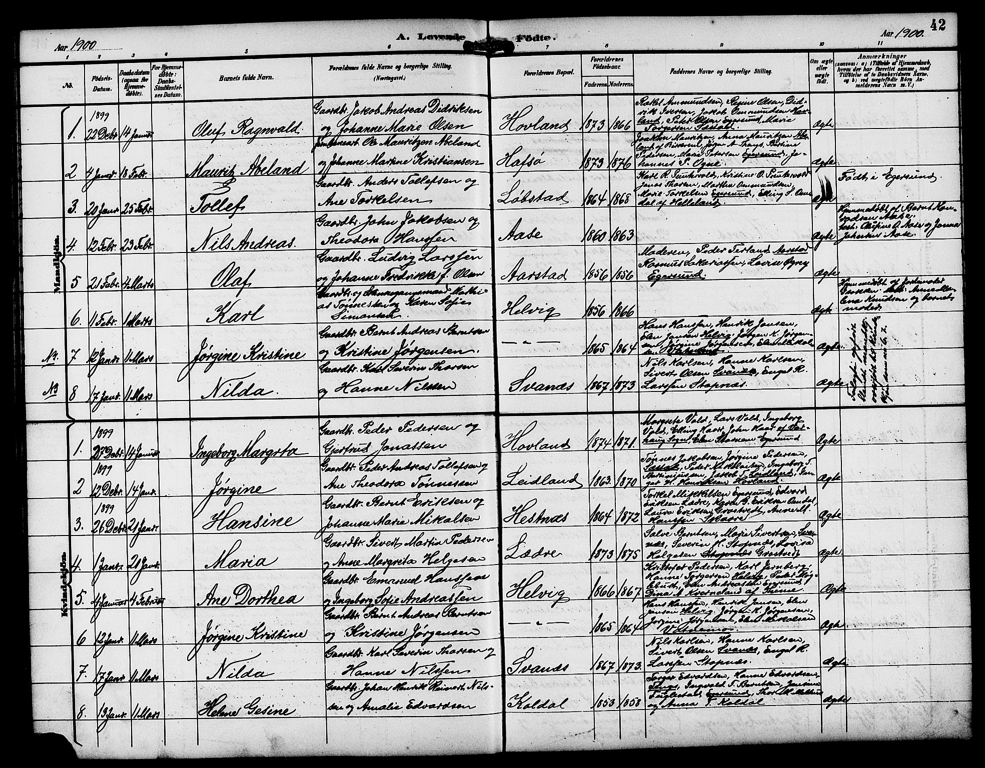 Eigersund sokneprestkontor, SAST/A-101807/S09/L0009: Parish register (copy) no. B 9, 1893-1907, p. 42