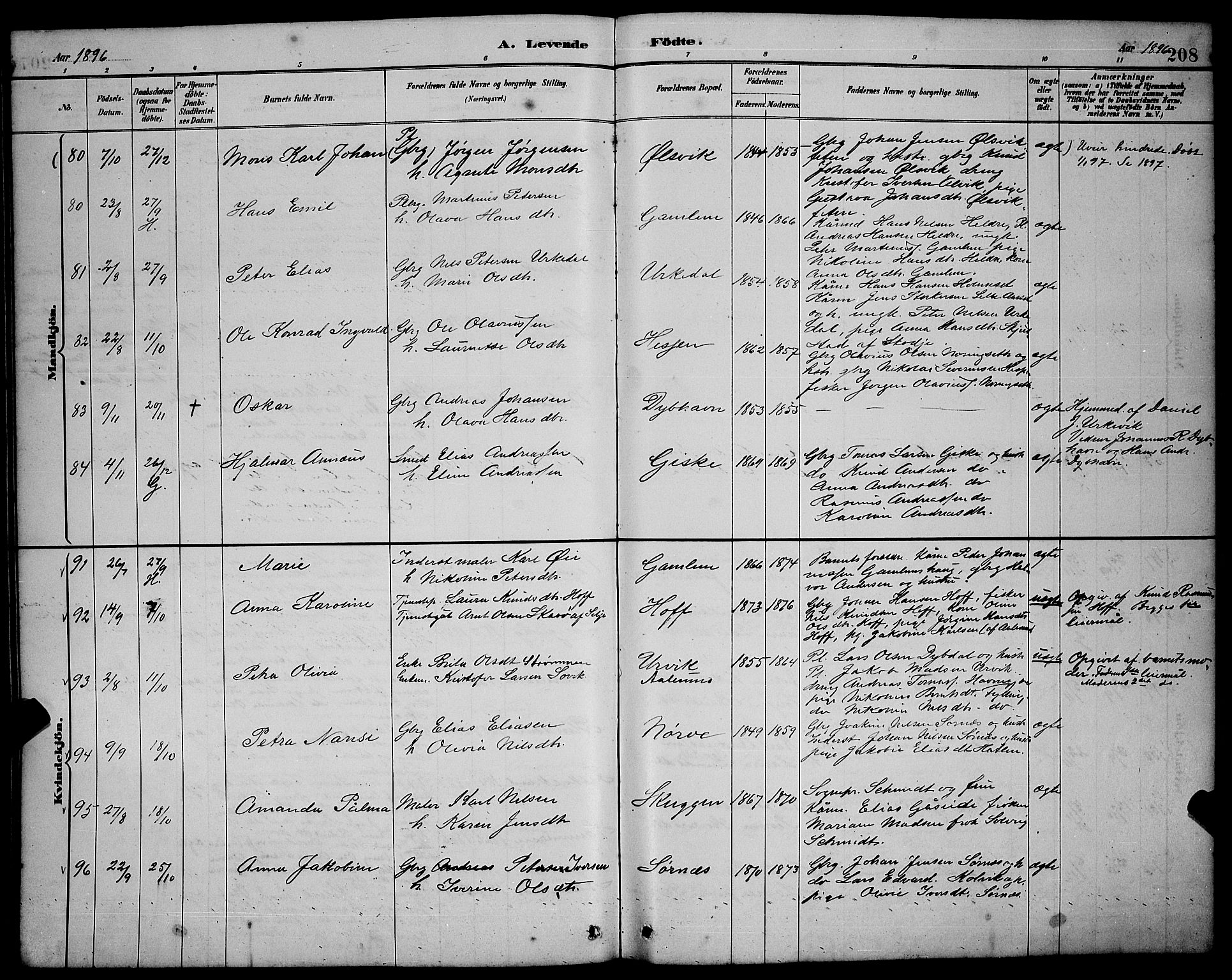 Ministerialprotokoller, klokkerbøker og fødselsregistre - Møre og Romsdal, AV/SAT-A-1454/528/L0431: Parish register (copy) no. 528C12, 1885-1898, p. 208