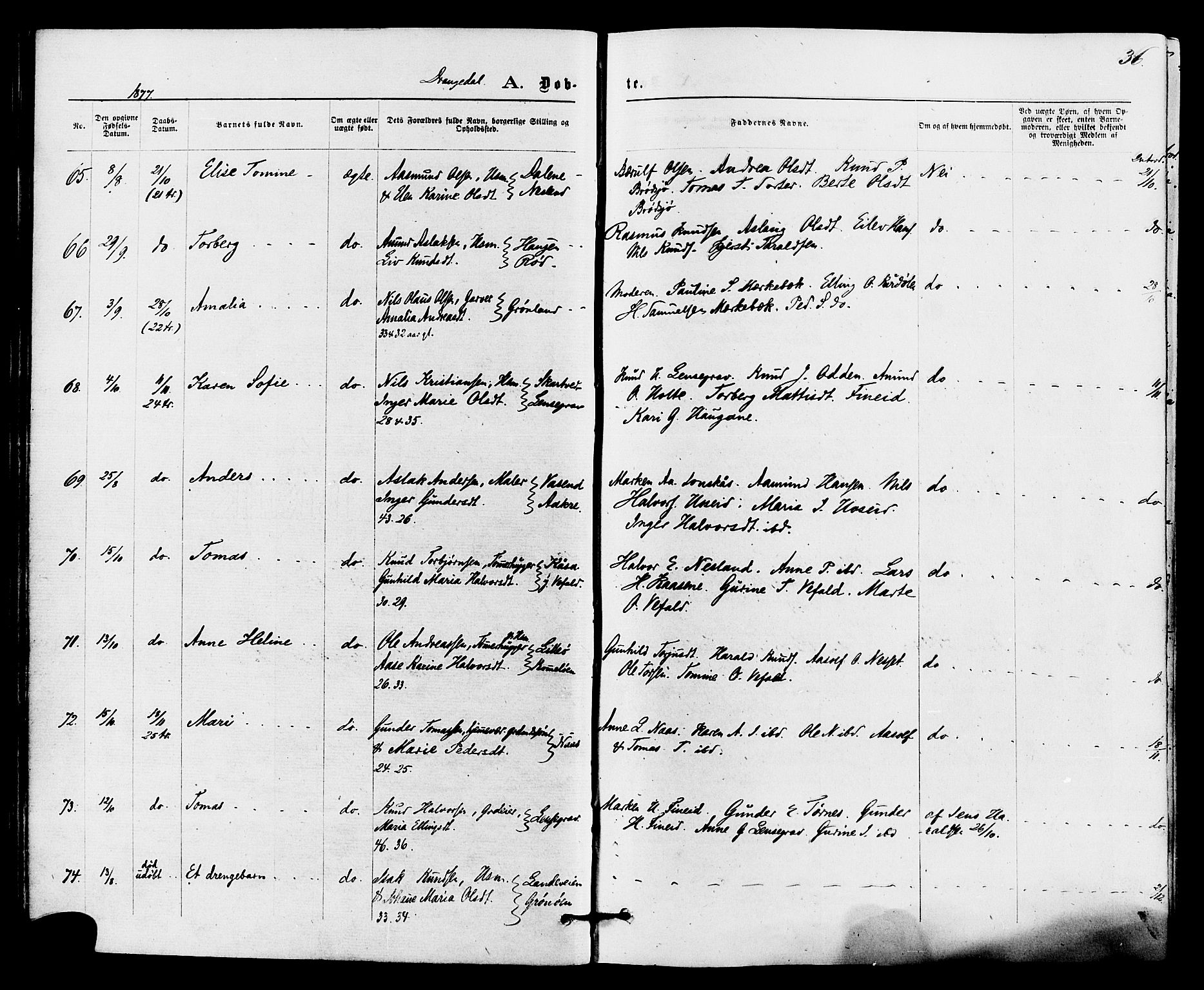 Drangedal kirkebøker, SAKO/A-258/F/Fa/L0009: Parish register (official) no. 9 /1, 1872-1884, p. 36