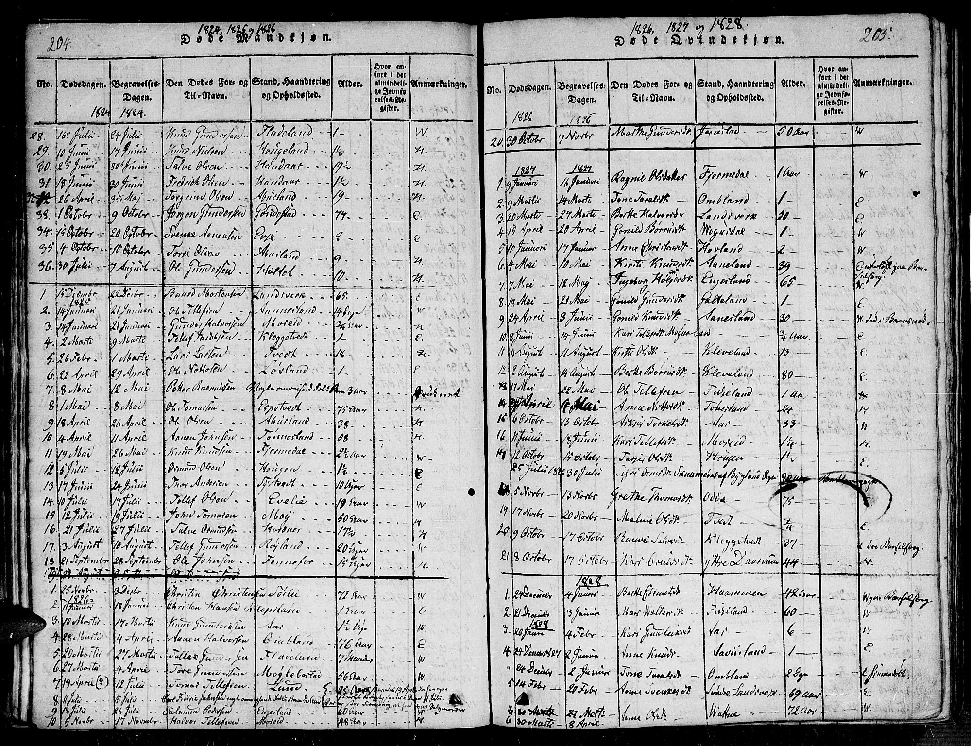 Evje sokneprestkontor, SAK/1111-0008/F/Fb/Fba/L0001: Parish register (copy) no. B 1, 1816-1842, p. 204-205