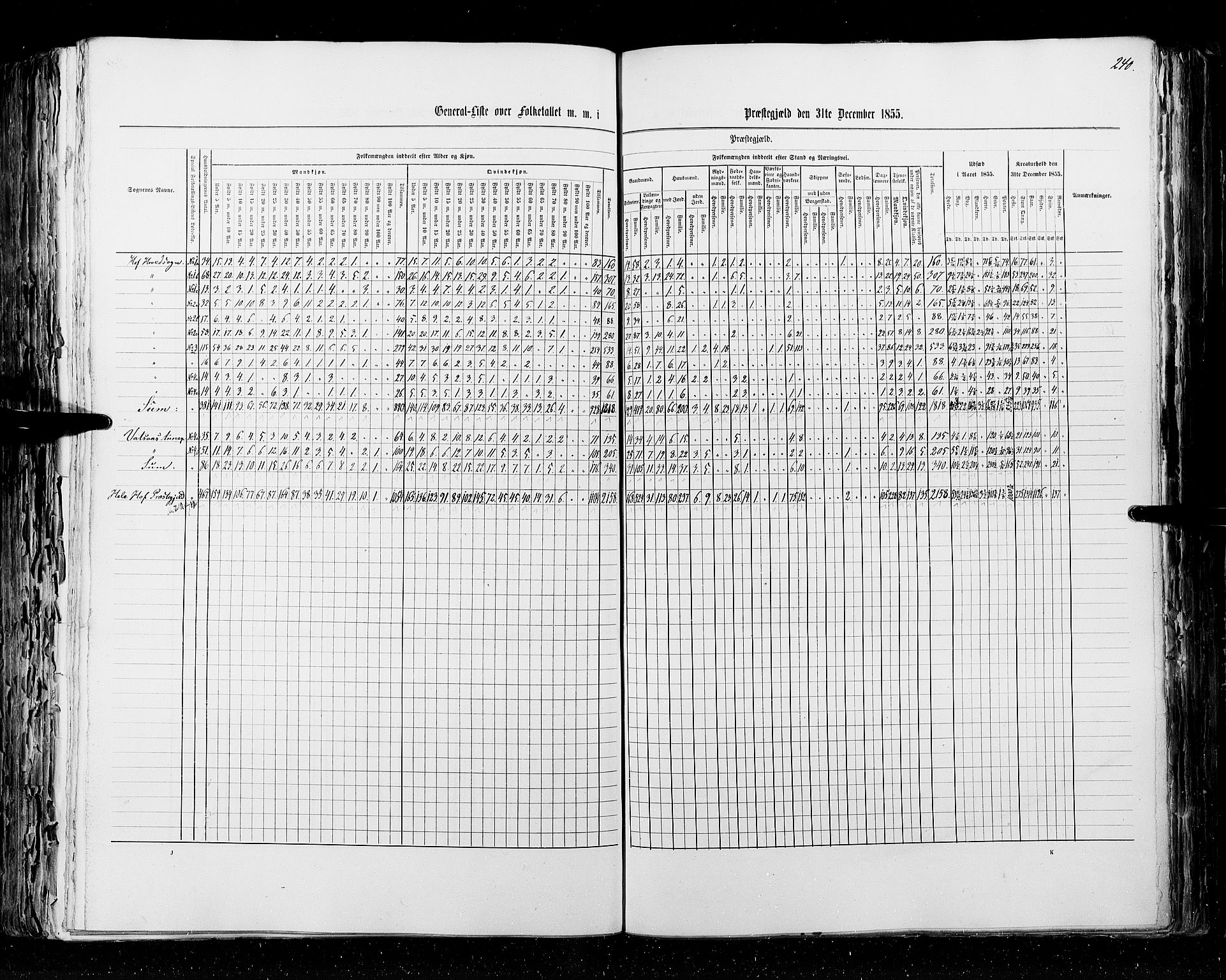 RA, Census 1855, vol. 2: Kristians amt, Buskerud amt og Jarlsberg og Larvik amt, 1855, p. 240