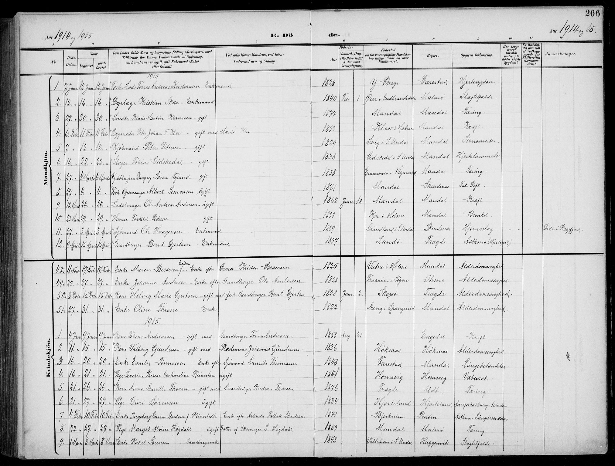 Mandal sokneprestkontor, AV/SAK-1111-0030/F/Fb/Fba/L0012: Parish register (copy) no. B 6, 1899-1918, p. 266