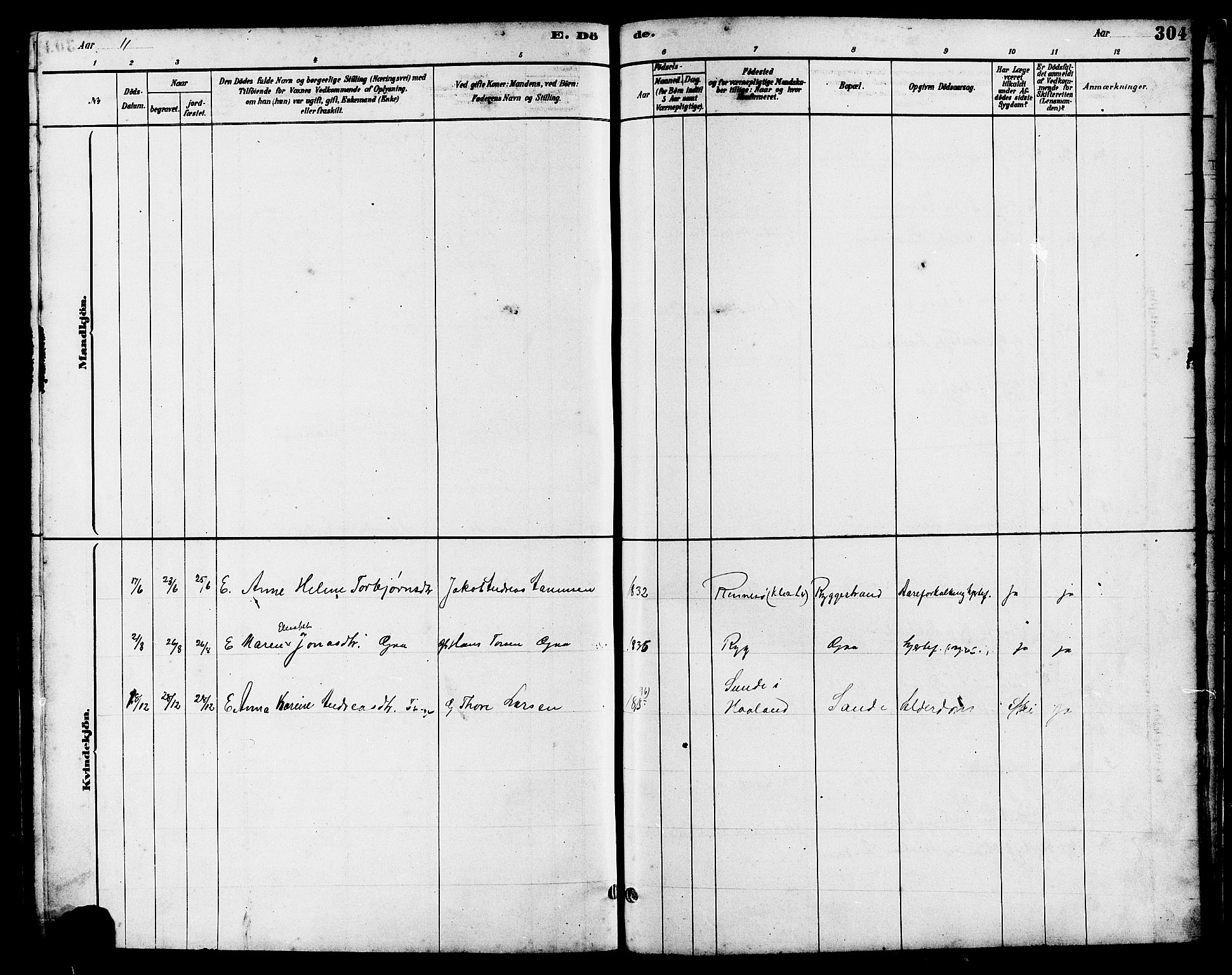 Hetland sokneprestkontor, SAST/A-101826/30/30BB/L0006: Parish register (copy) no. B 6, 1878-1921, p. 304