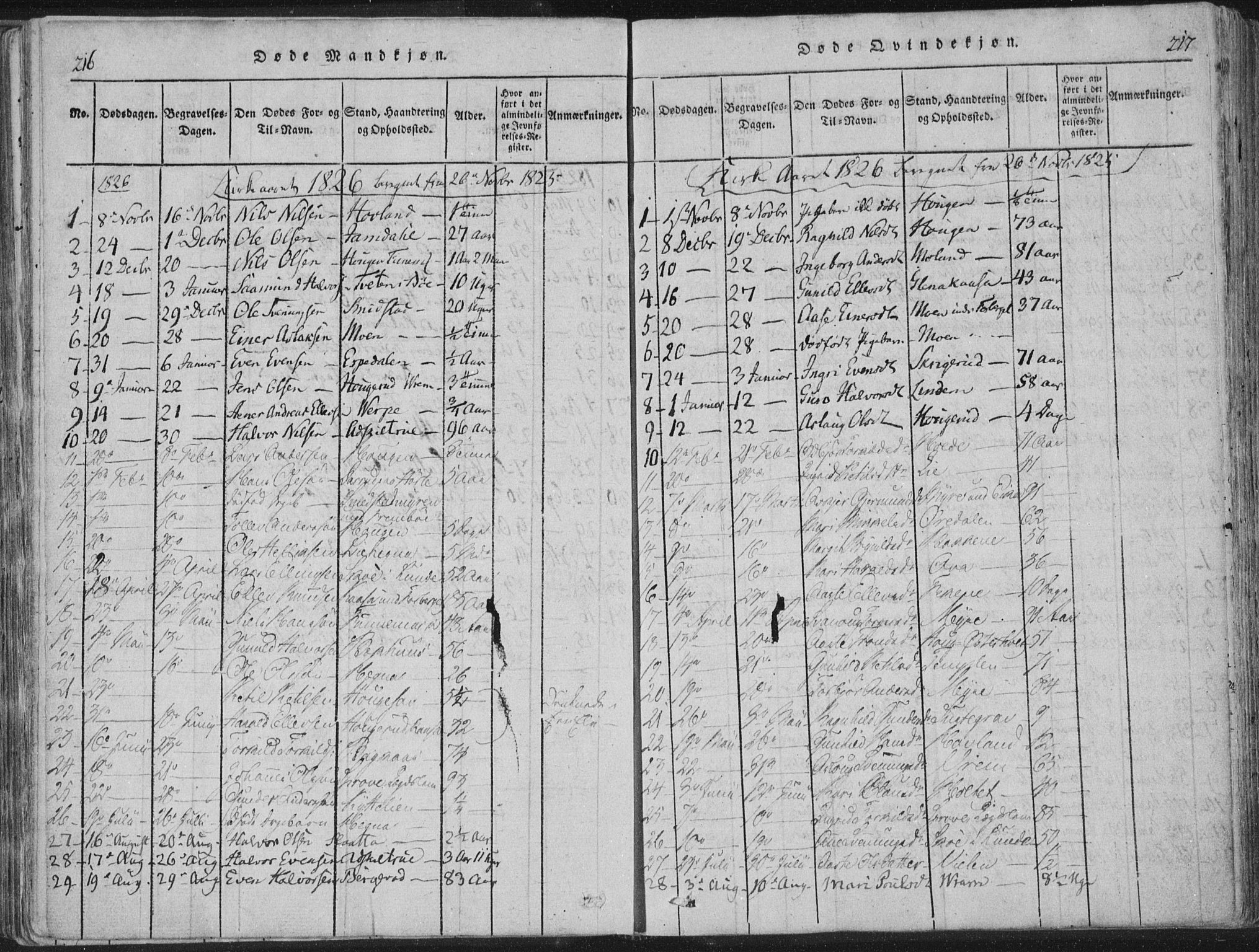 Bø kirkebøker, SAKO/A-257/F/Fa/L0006: Parish register (official) no. 6, 1815-1831, p. 216-217