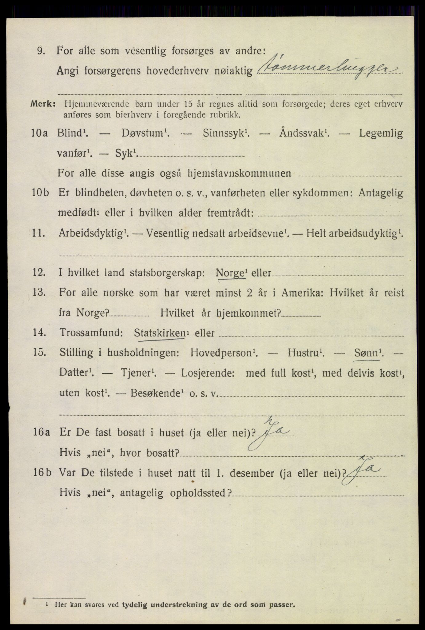 SAH, 1920 census for Trysil, 1920, p. 10632