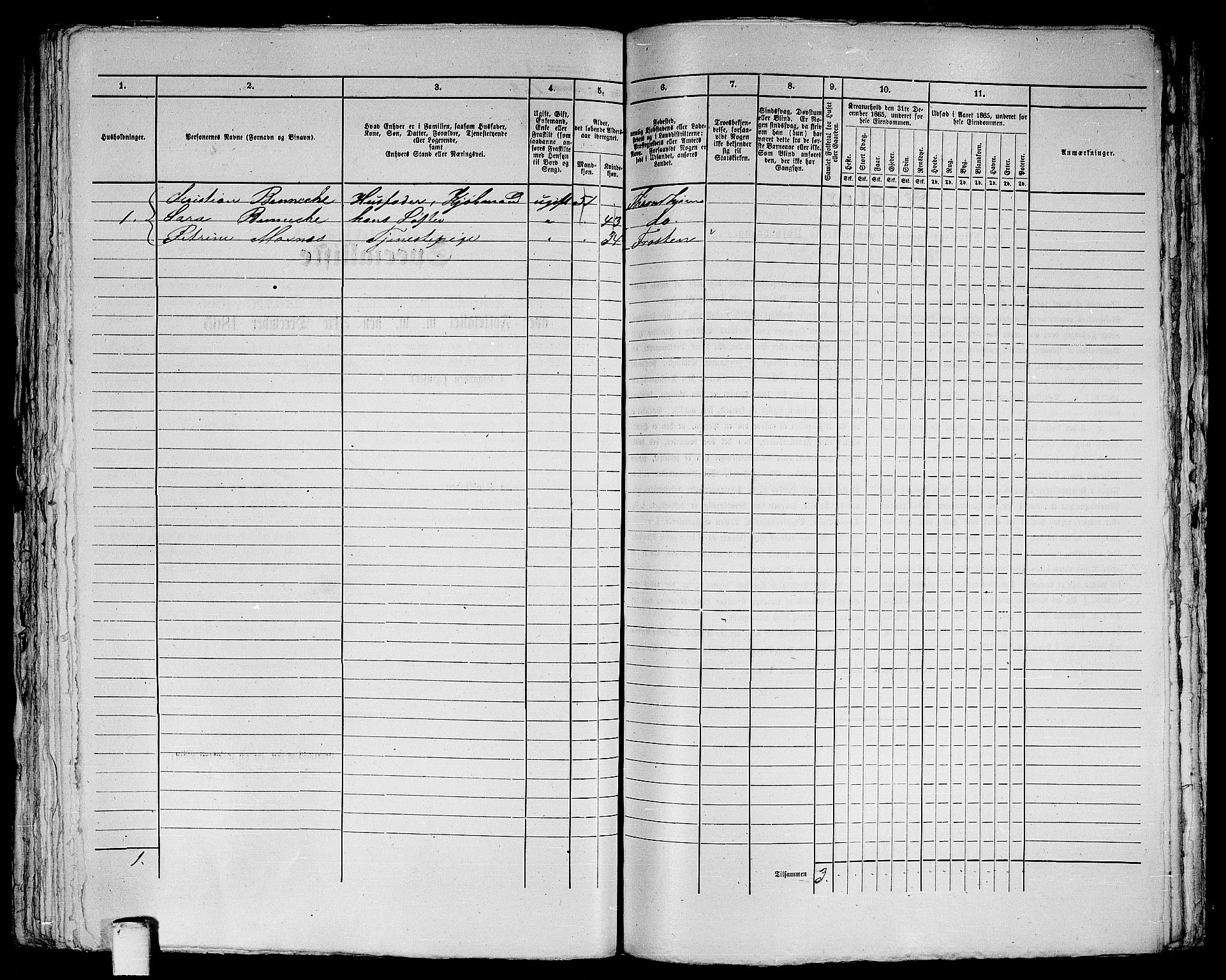 RA, 1865 census for Trondheim, 1865, p. 372