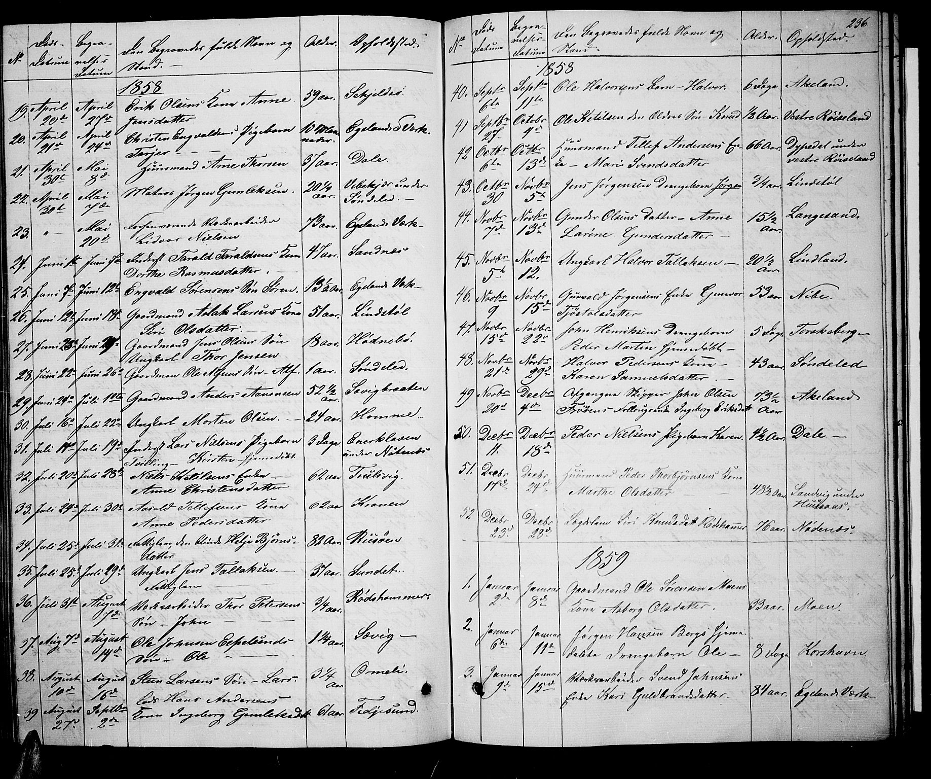 Søndeled sokneprestkontor, AV/SAK-1111-0038/F/Fb/L0004: Parish register (copy) no. B 4, 1857-1884, p. 236